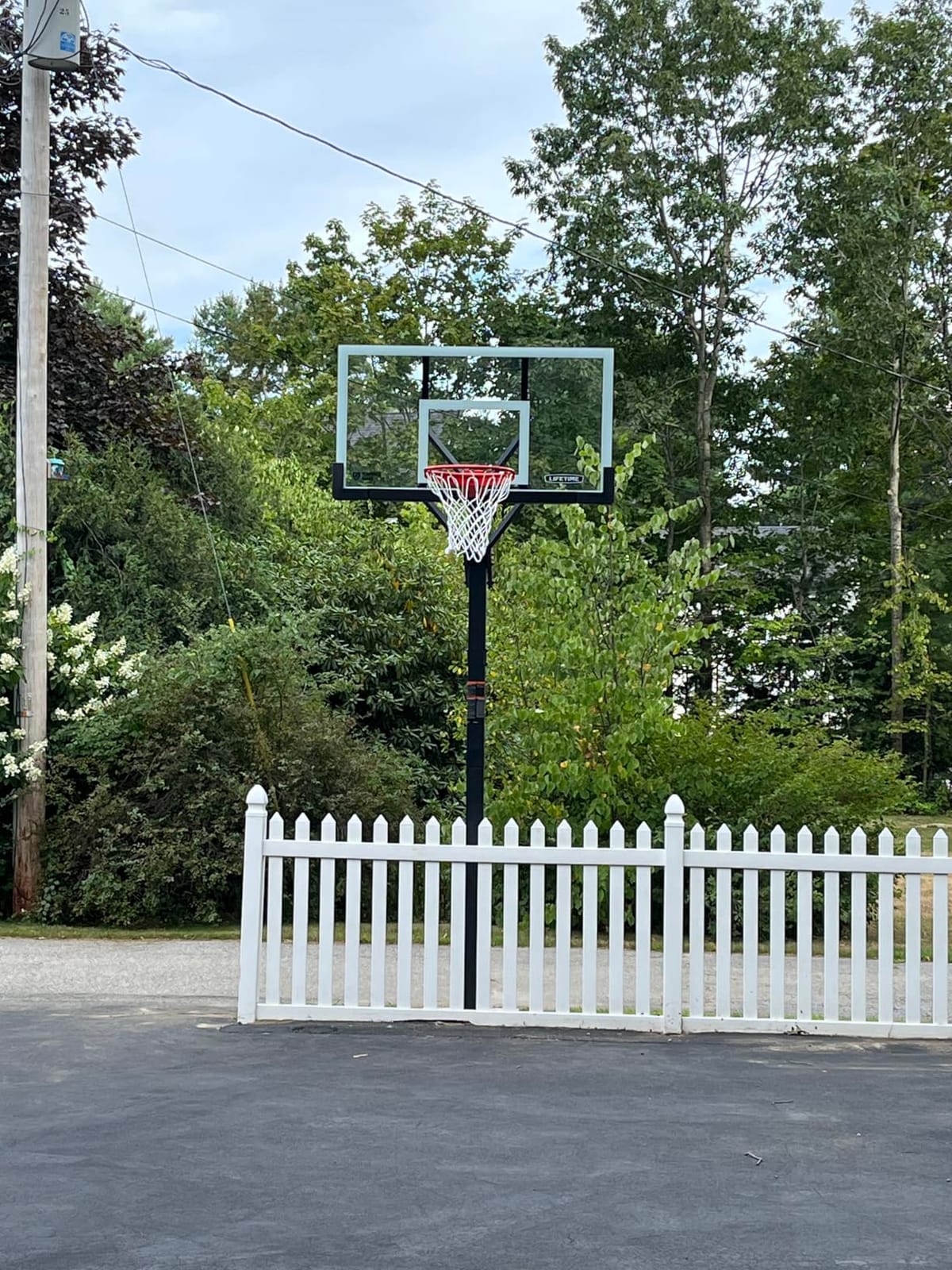 LIFETIME Products Crank Adjust In Ground Basketball Tempered Glass Backboard customer photo 2