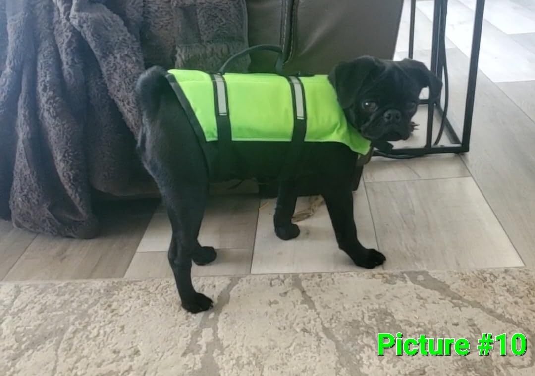 VIVAGLORY Dog Life Vest Rip Stop Dog Swim Vest, M, Bright Yellow customer photo 1