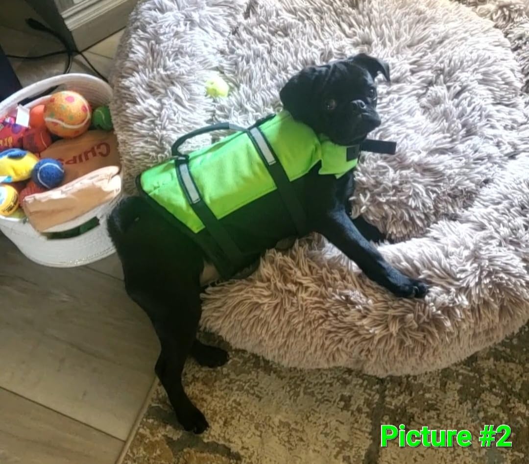 VIVAGLORY Dog Life Vest Rip Stop Dog Swim Vest, M, Bright Yellow customer photo 2