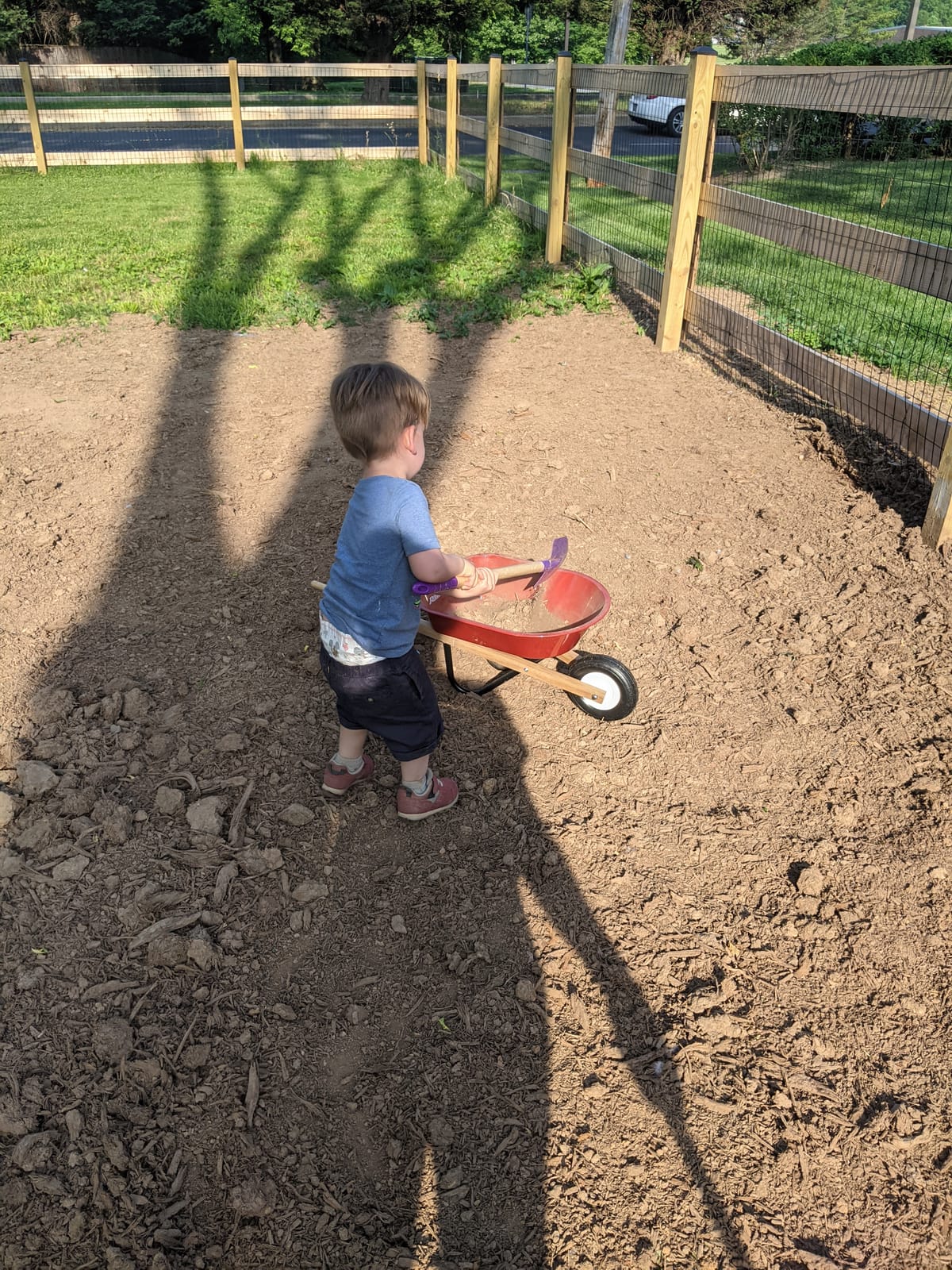 Radio Flyer Classic Kids Wheelbarrow, For Kids 3+, Seamless Steel Tray with No-Scratch Edges, Real Wooden Handles, Durable Front Wheel, Steel Undercarriage, 25 lb Capacity, Garden Toy for Children customer photo 1