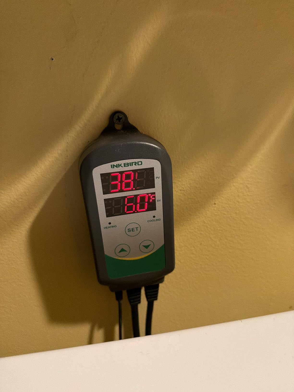 Inkbird ITC-308 Digital Temperature Controller Thermostat customer photo 1
