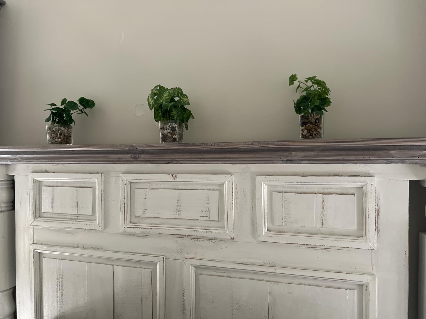 MyGift Set of 3 Small Assorted Artificial Plants in Clear Glass Pot customer photo 2