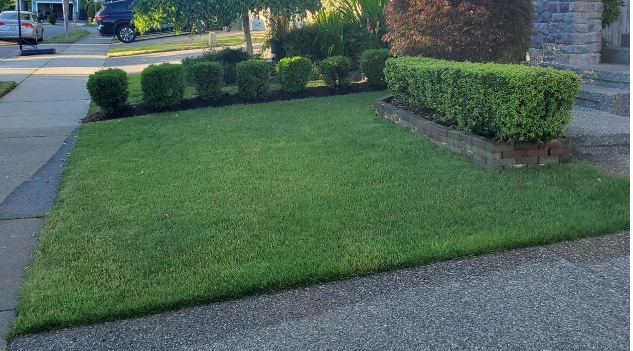 BLACK+DECKER 40V Max Cordless Sweeper & String Trimmer, Battery & Charger Included (LCC340C) customer photo 2