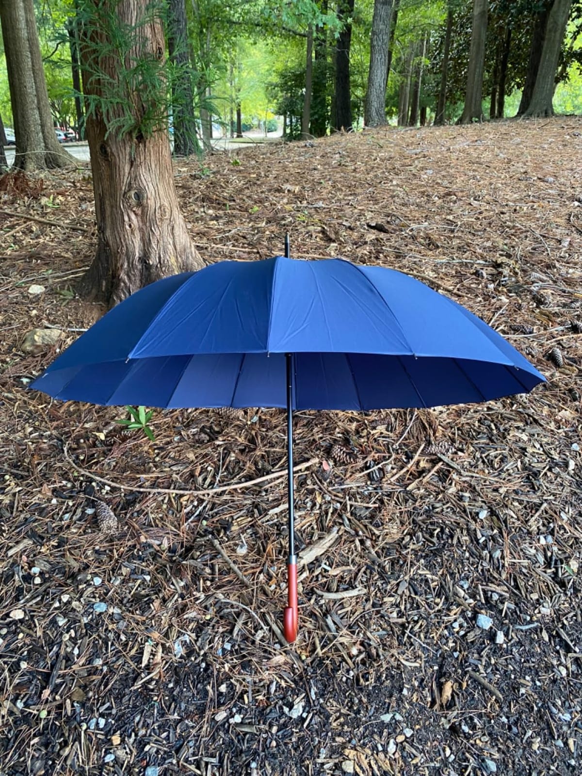 Royal Walk Large Umbrella for Rain & Golf, Windproof, Big, Heavy Duty Stick customer photo 2