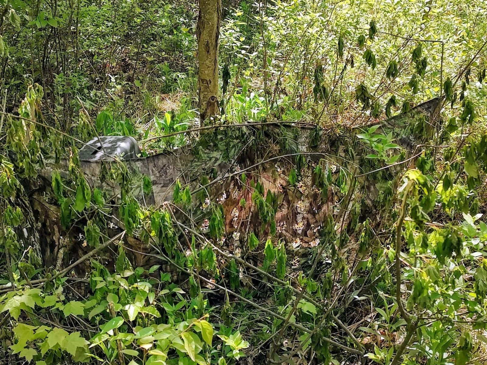 Ameristep Throwdown Ground 3D Leafy Die-Cut Camo Ultra-Compact Easy-Setup Three-Panel Low-Noise Run-and-Gun 2-Person Hunting Blind customer photo 2