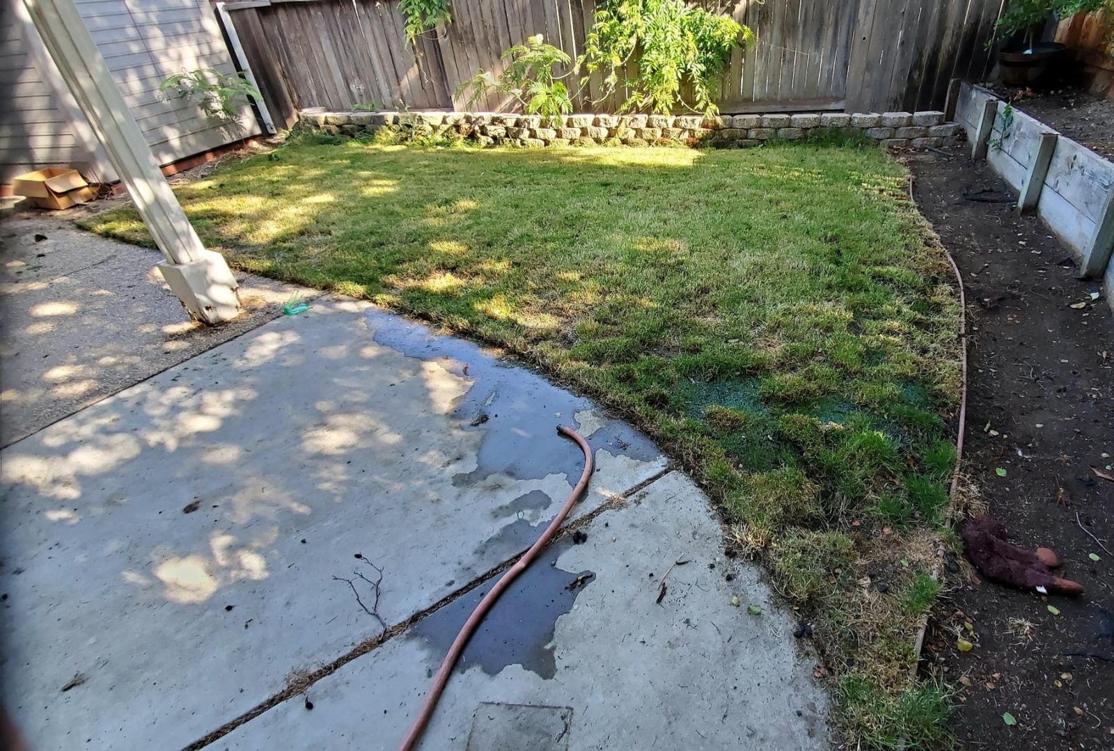 Liquid Soil Loosener- Soil Conditioner-Use alone or when Aerating with Mechanical Aerator or Core Aeration- Simple Lawn Solutions- Any Grass Type-Great for Compact Soils, Standing water, Poor Drainage customer photo 2