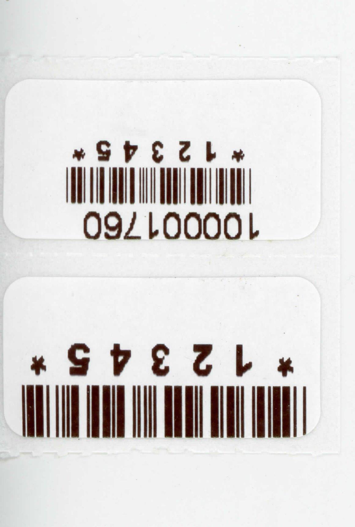 Arkscan 2054A Shipping Label Printer for Windows Mac Chromebook Android, Supports Amazon Ebay Paypal Etsy Shopify ShipStation Stamps UPS USPS FedEx DHL, Roll & Fanfold 4x6 Direct Thermal Label customer photo 2