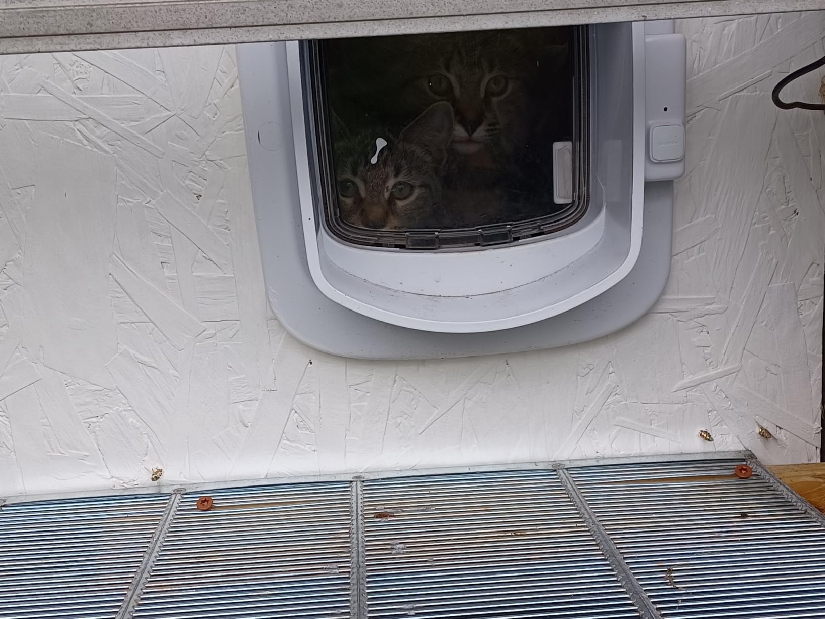 PetSafe Microchip Cat Door, Interior/Exterior, Multi-Pet, 4-Way Lock customer photo 1