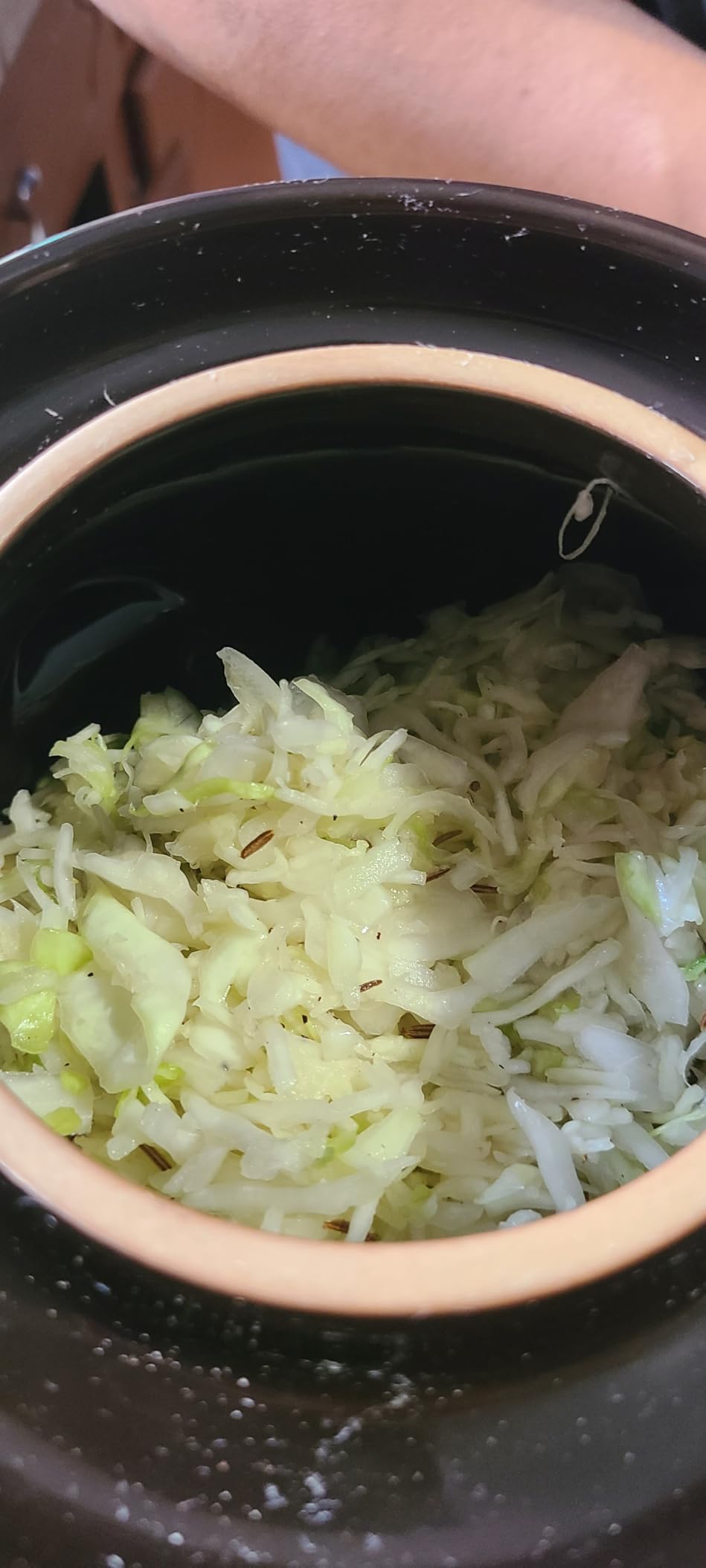 Fermentation Crock 1/2 Gallon - Sauerkraut Crock with Weights & Pounder customer photo 1