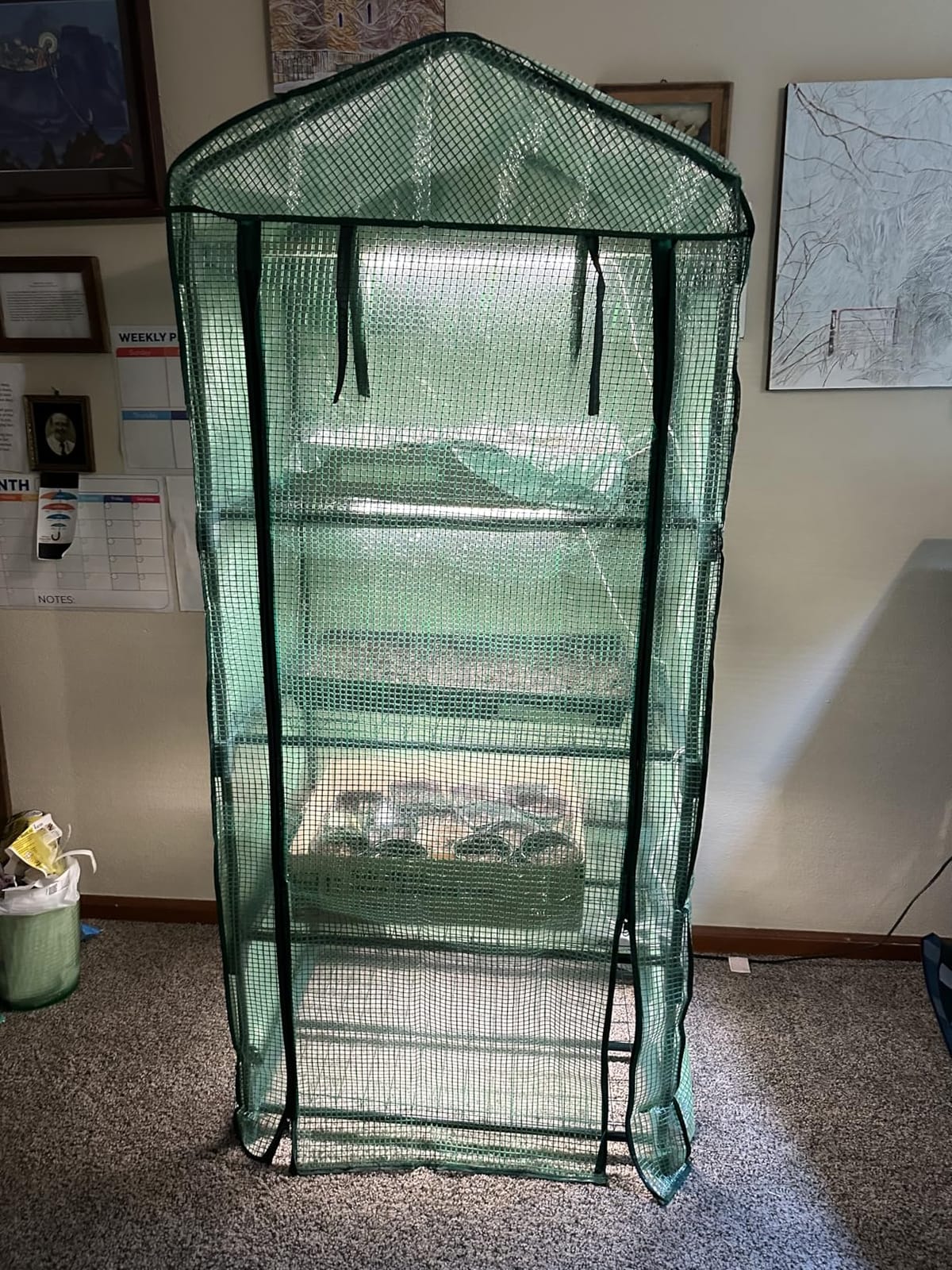 4 Tier Mini Greenhouse Indoor Outdoor with PE Cover and Roll-Up Zipper Door, Portable Waterproof Cloth Greenhouse Tent Grow Seeds & Seedlings, 2.3x1.5x5.3 FT customer photo 1