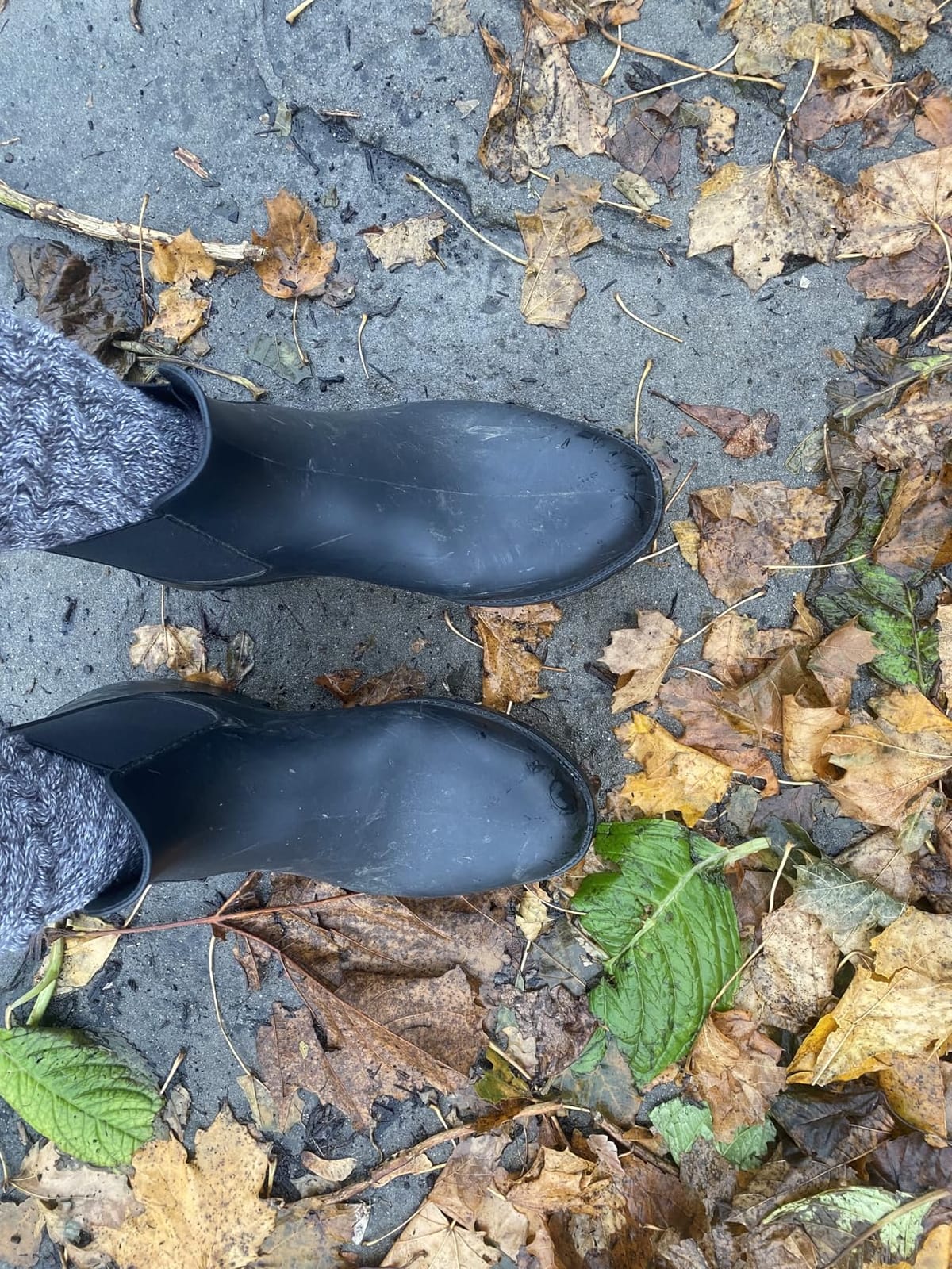 Asgard Women's Ankle Rain Boots Waterproof Chelsea Boots | Stylish Matte Finish, Easy On&Off, Non Slip, Ideal for Rainy Commute customer photo 2