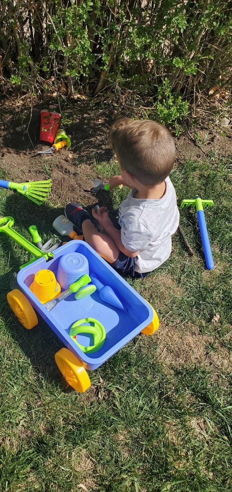 Dimple Garden Wagon & Tools Toy Set, Kids Gardening Set, Sturdy & Durable customer photo 1