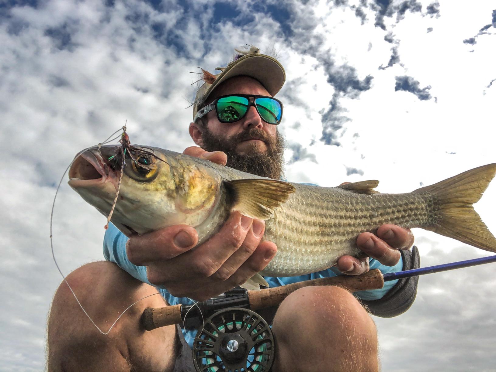 M MAXIMUMCATCH Maxcatch Predator Big Game and Saltwater Fly Fishing Rod: 7'11''/9'/9'2''/10', 4-Piece, 8/9/10/11/12 Weight customer photo 1