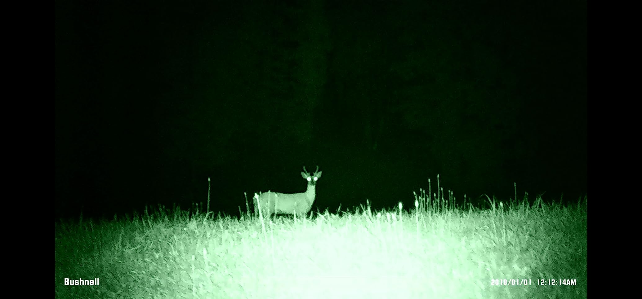 Bushnell Night Vision_Equinox Z2 Monocular customer photo 1
