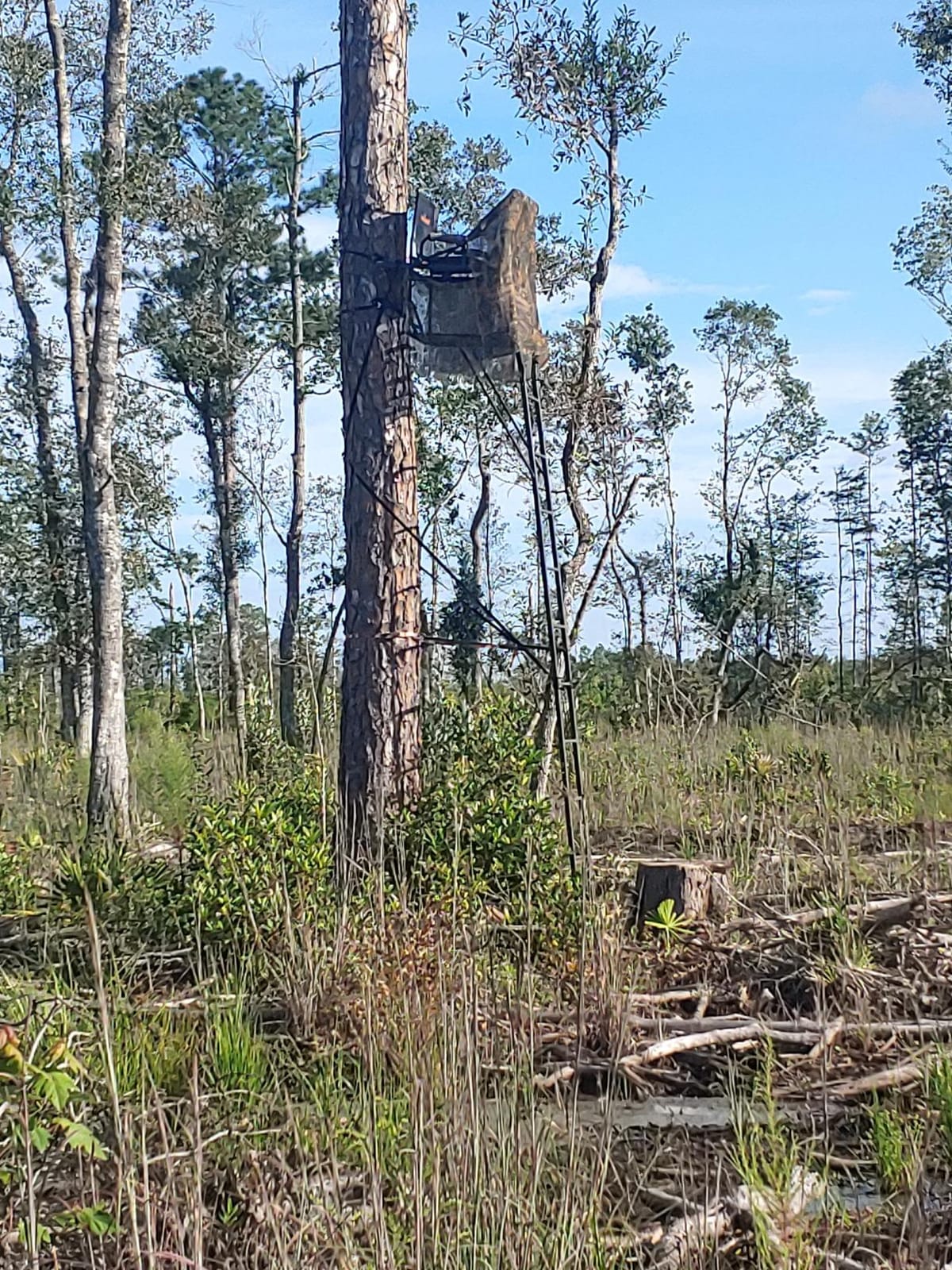 BIG GAME 2 Person Ladder Stand customer photo 1