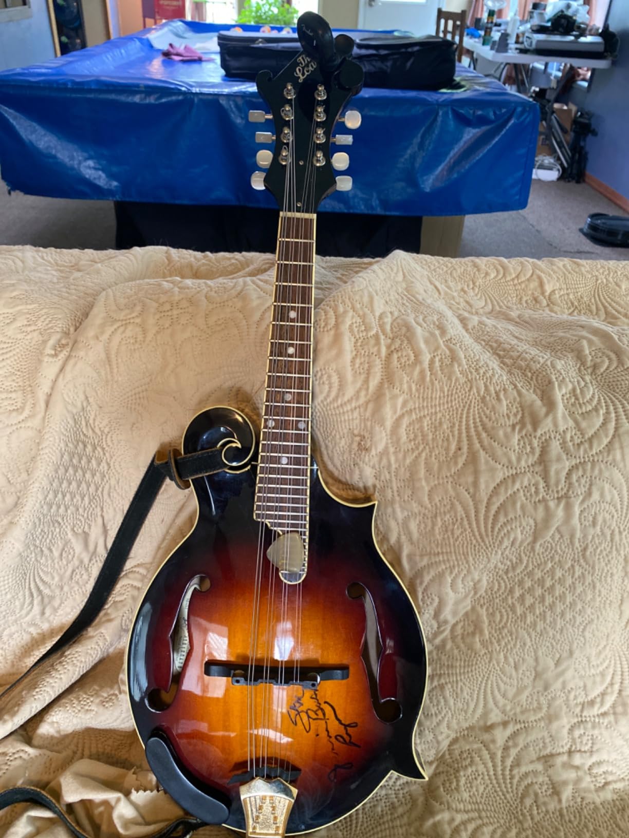 Martin Mandolin Strings – Monel, Medium Gauge | 8-String Set for Warm, Balanced Tone and Long-Lasting Playability customer photo 2