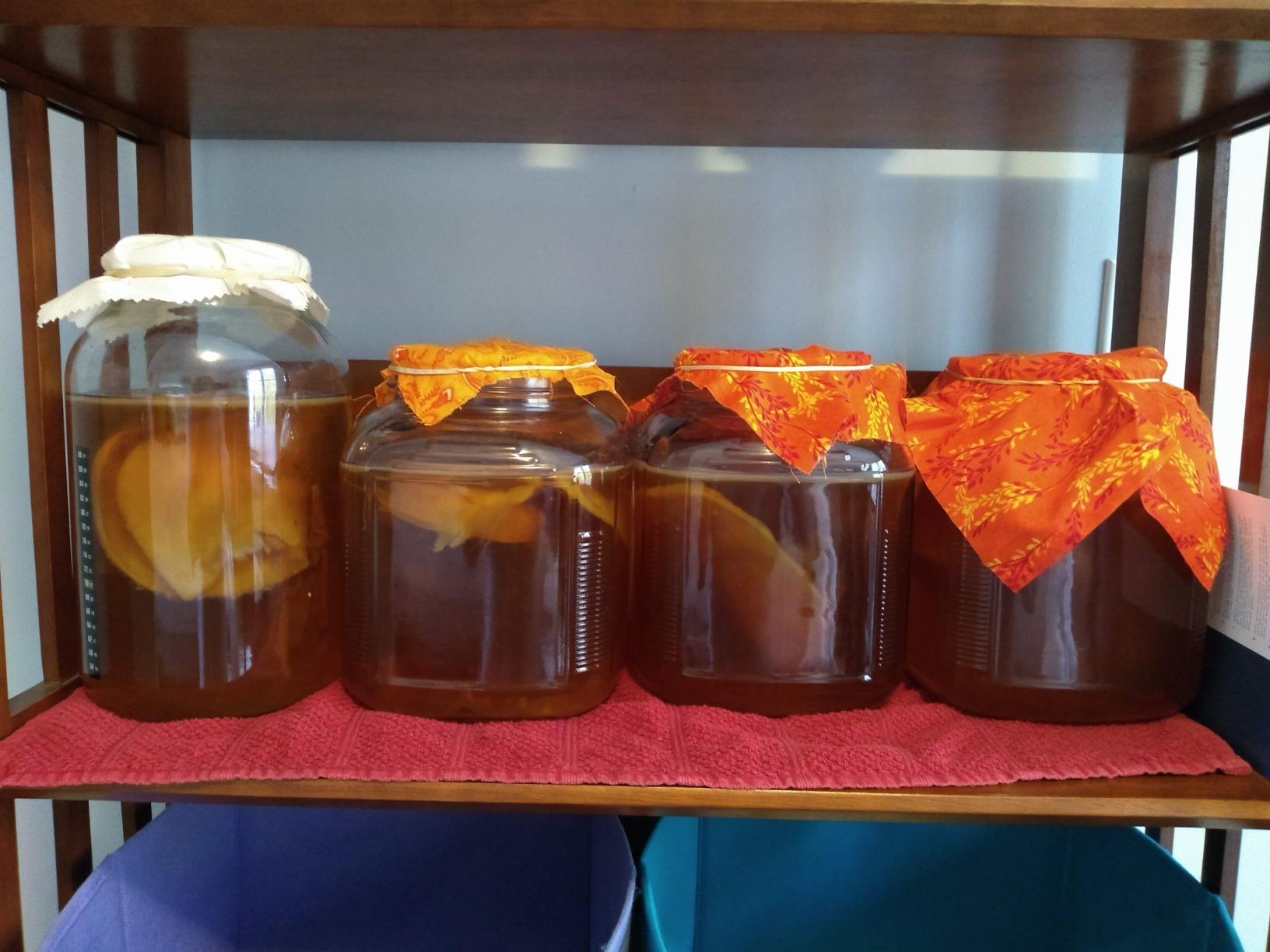 Starter Kit – Includes Organic SCOBY, Starter Liquid, 1 Gallon Glass Jar, Temp Gauge, Tea, and Sugar customer photo 1