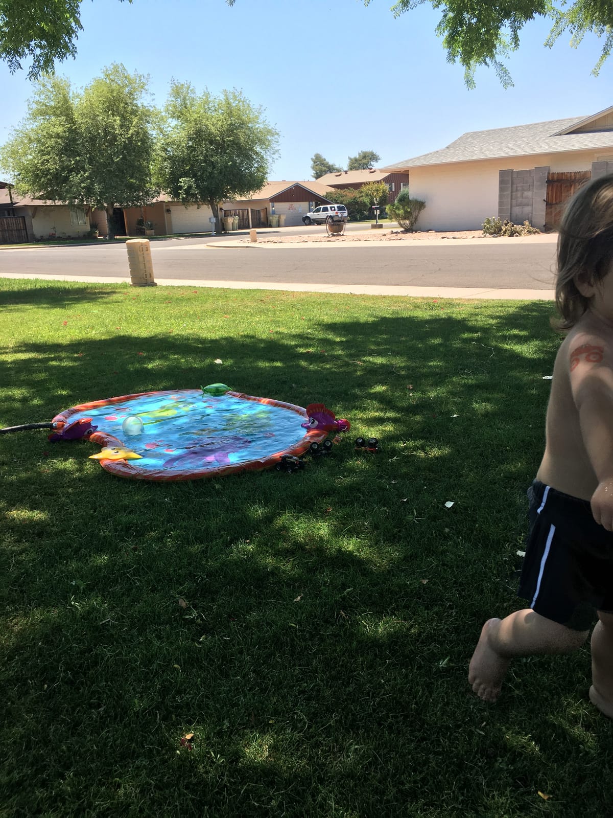 BANZAI Splash Pad Toddler Water Play Mat, 58 in Outdoor Kids Sprinkler Mat with 3D Sea Characters, Baby Splash Pad for Backyard Summer Fun customer photo 2