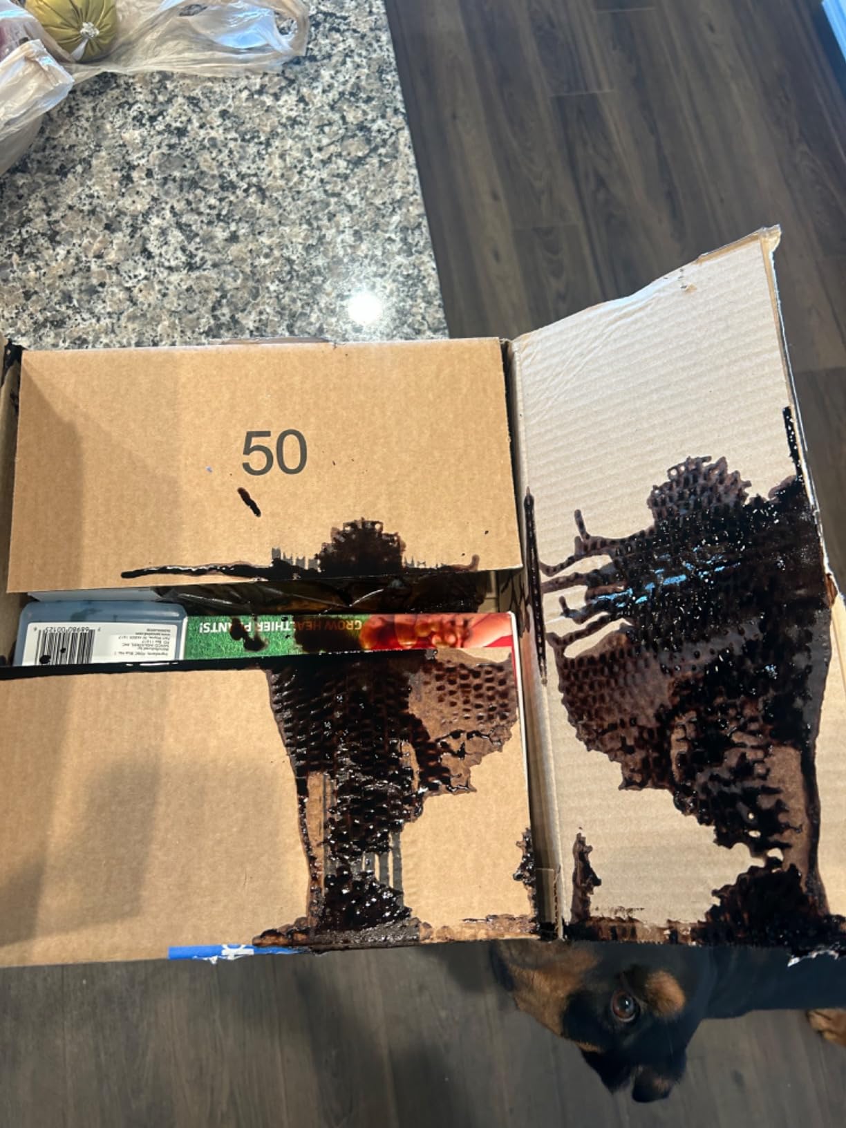 Liquid Lawn Aerator, Loosens and Conditions Compacted Soil, 32oz customer photo 2