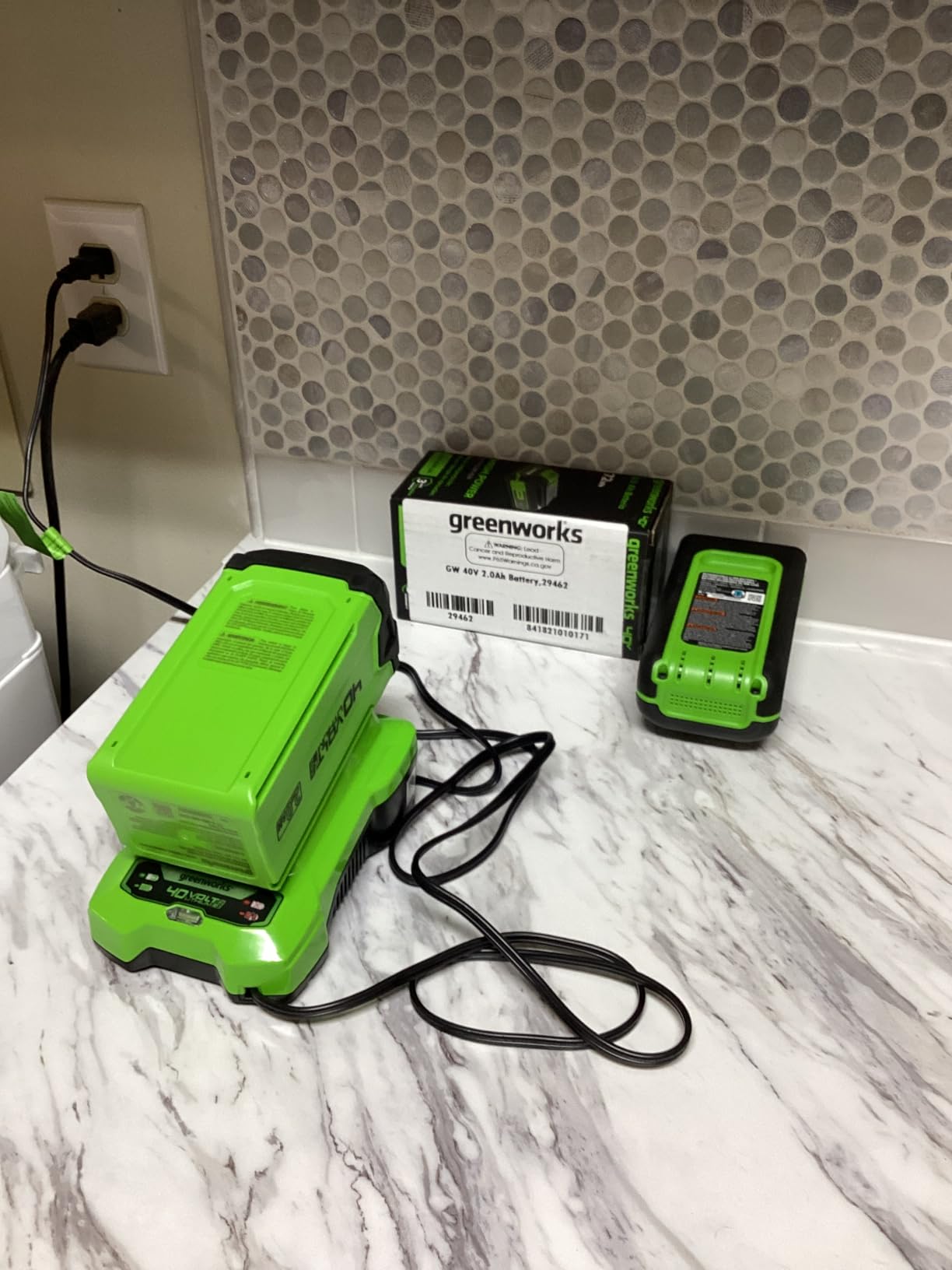 Greenworks 40V 8-Inch Cordless Polesaw, 2.0Ah Battery and Charger Included PS40B210 customer photo 1