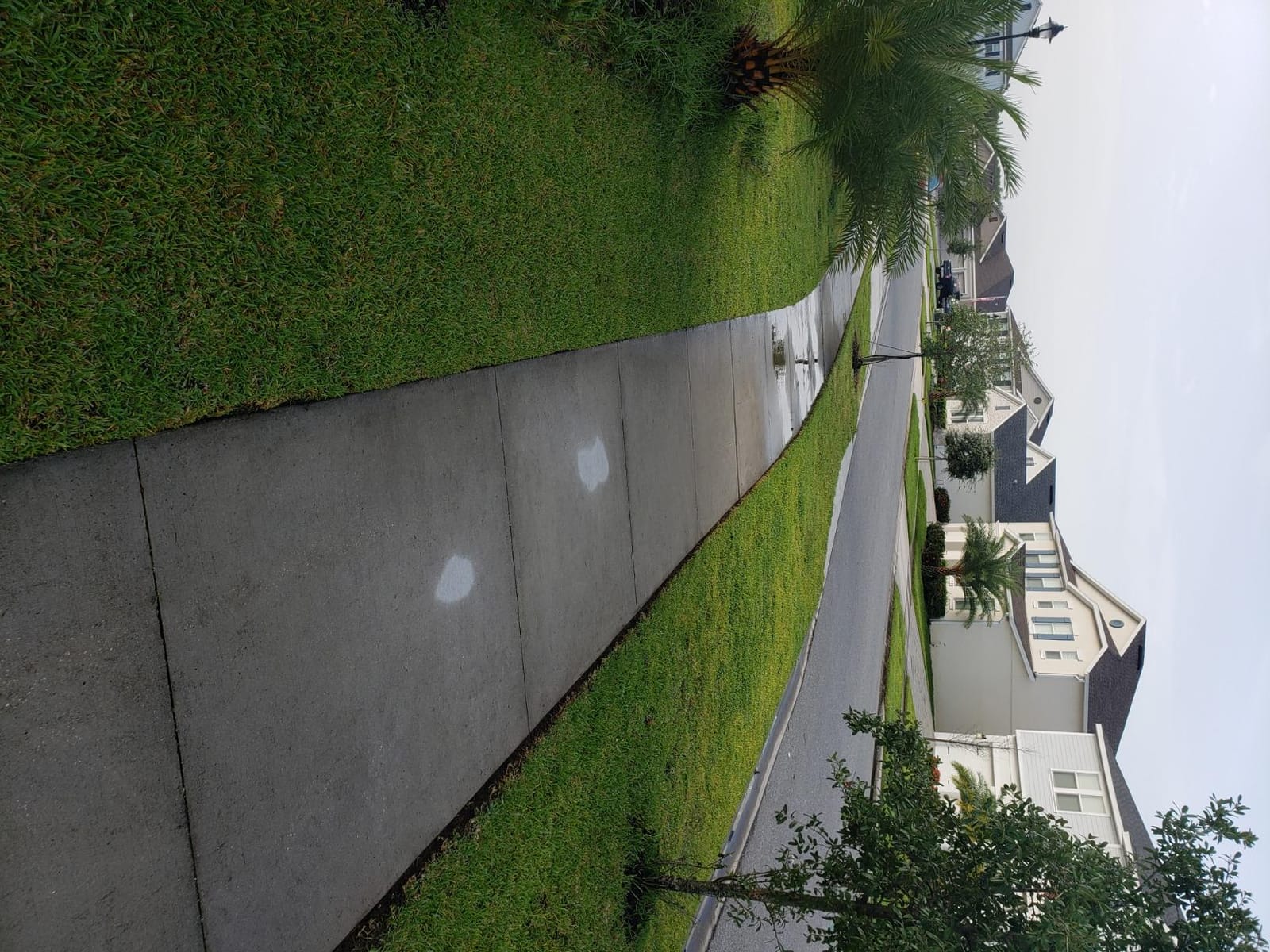 Kobalt 80-Volt Max Baretool 16-in Straight Cordless String Trimmer 2nd Generation (Battery Not Included) customer photo 2