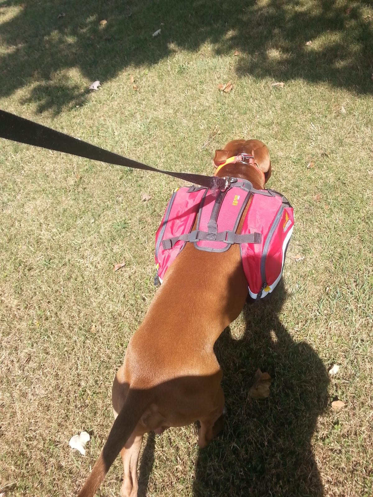 Mountainsmith K9 Dog Pack customer photo 2