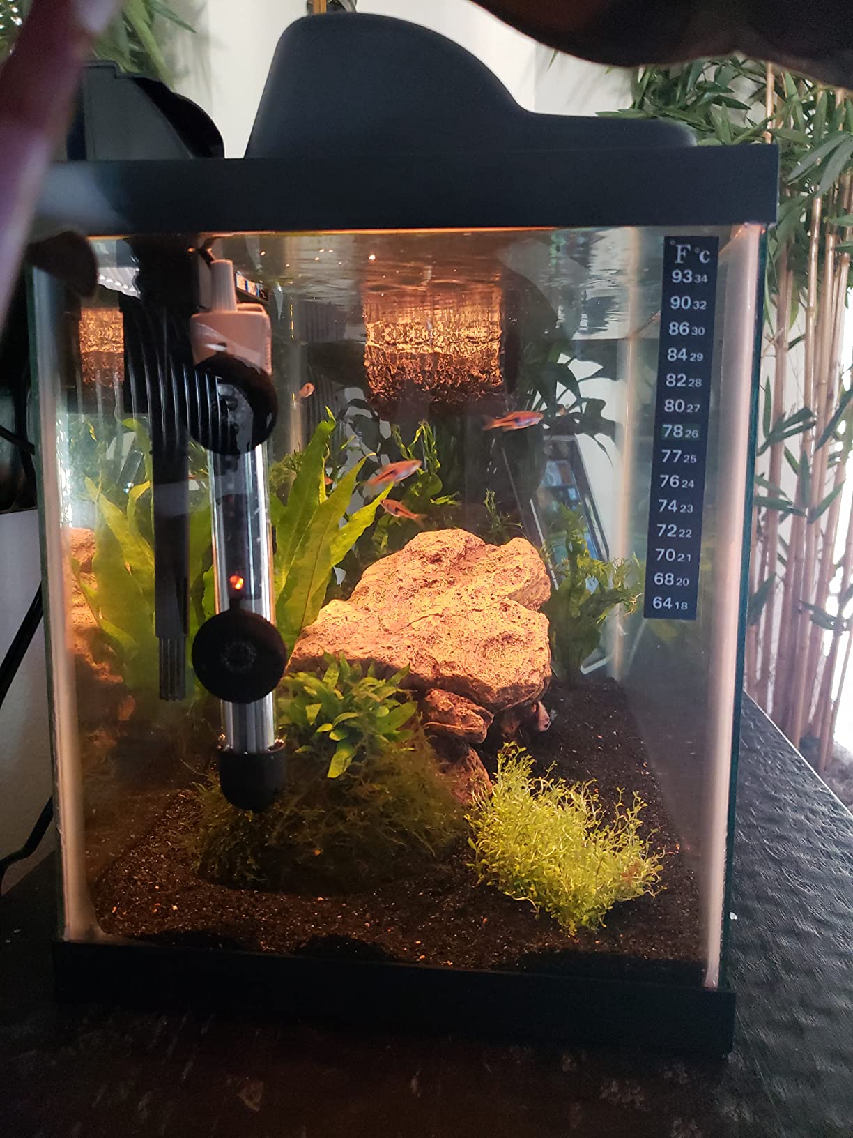 HITOP 50W Adjustable Aquarium Heater, Submersible Fish Tank Heater Thermostat with Suction Cups for 6-15Gal customer photo 1