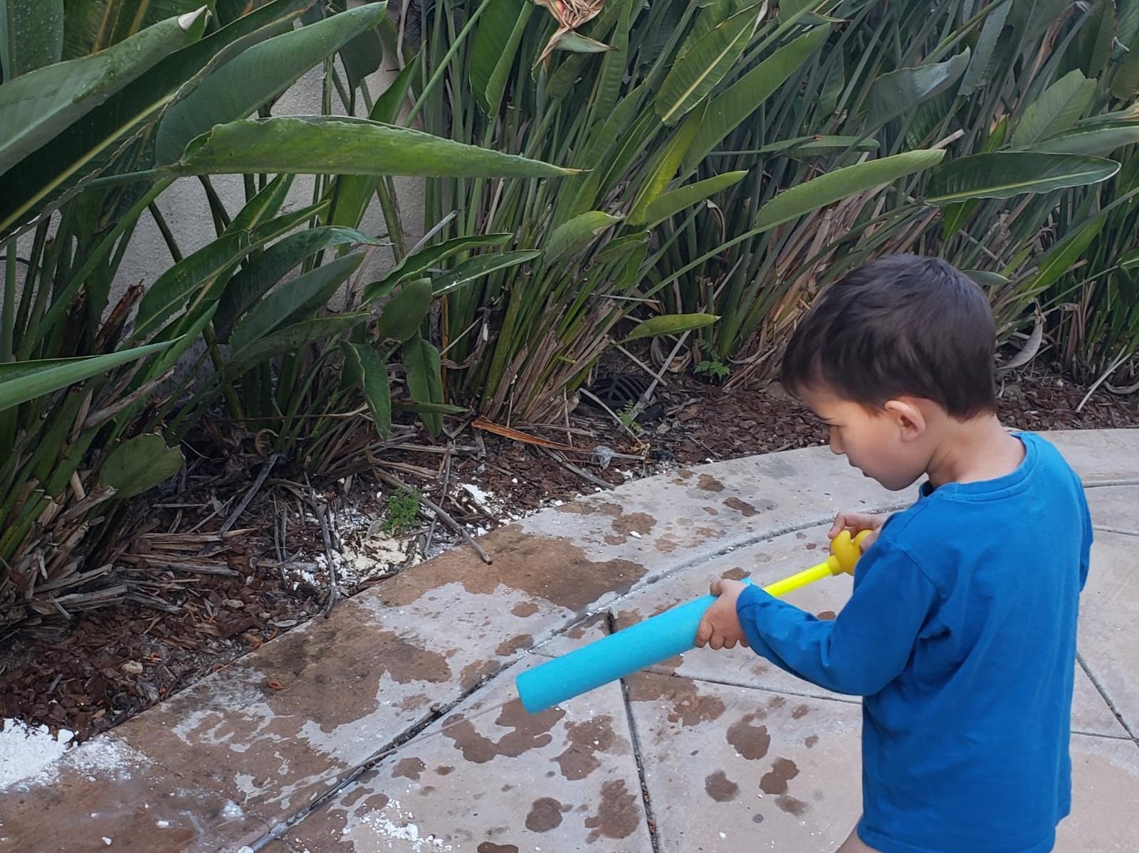 Water Blaster | Water Blasters for Kids, Water Squirter for Kids, Pool Guns, Squirt Gun 8 Pack 4 Pack Beach Essentials, Beach Toys Pool Squirt, Summer Games customer photo 2