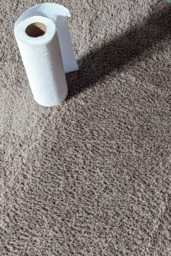 Bissell ProHeat 2X Revolution Pet Full Size Upright Carpet Cleaner, 1548F, Orange customer photo 1