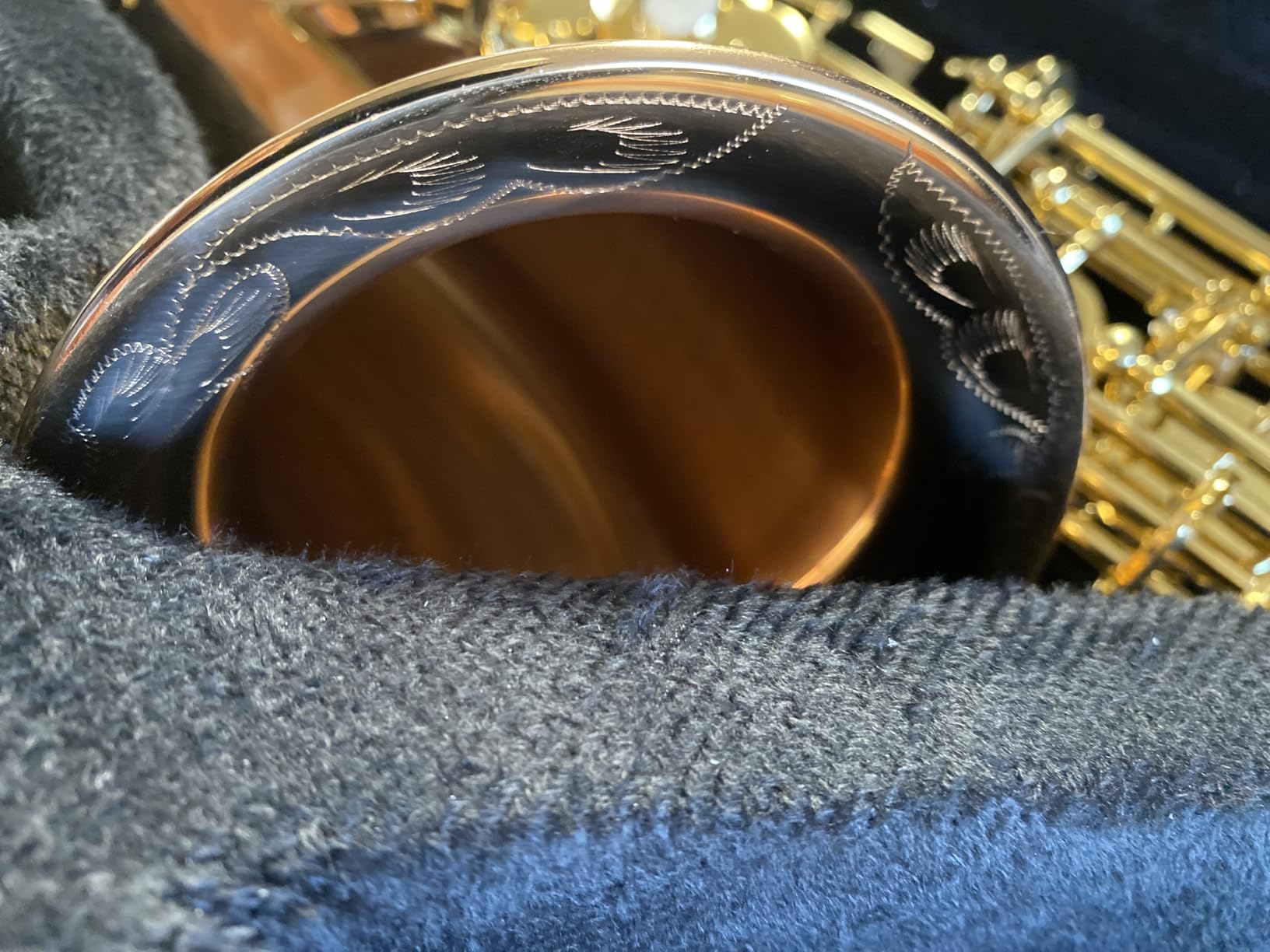 EASTROCK E Flat Alto Saxophone Gold Alto Sax for Beginners and Students | Alto Sax Kit-Carrying Case, Mouthpiece, Reeds, Cushion Pads, Cleaning Kit, Gloves, Neck Strap for Practice & Performance customer photo 1