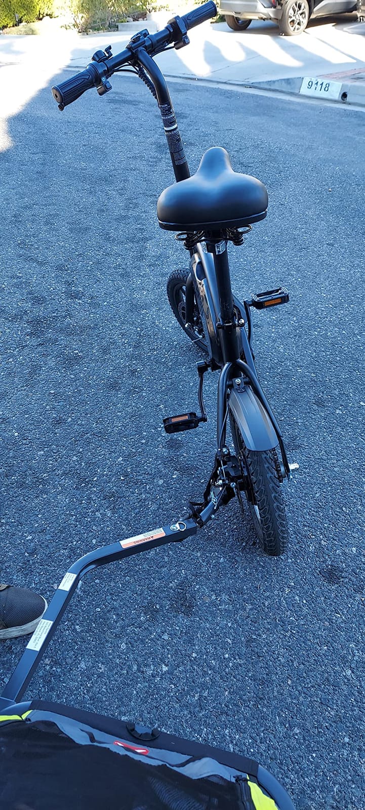 Allen Sports Deluxe Bike Trailer & Stroller customer photo 2