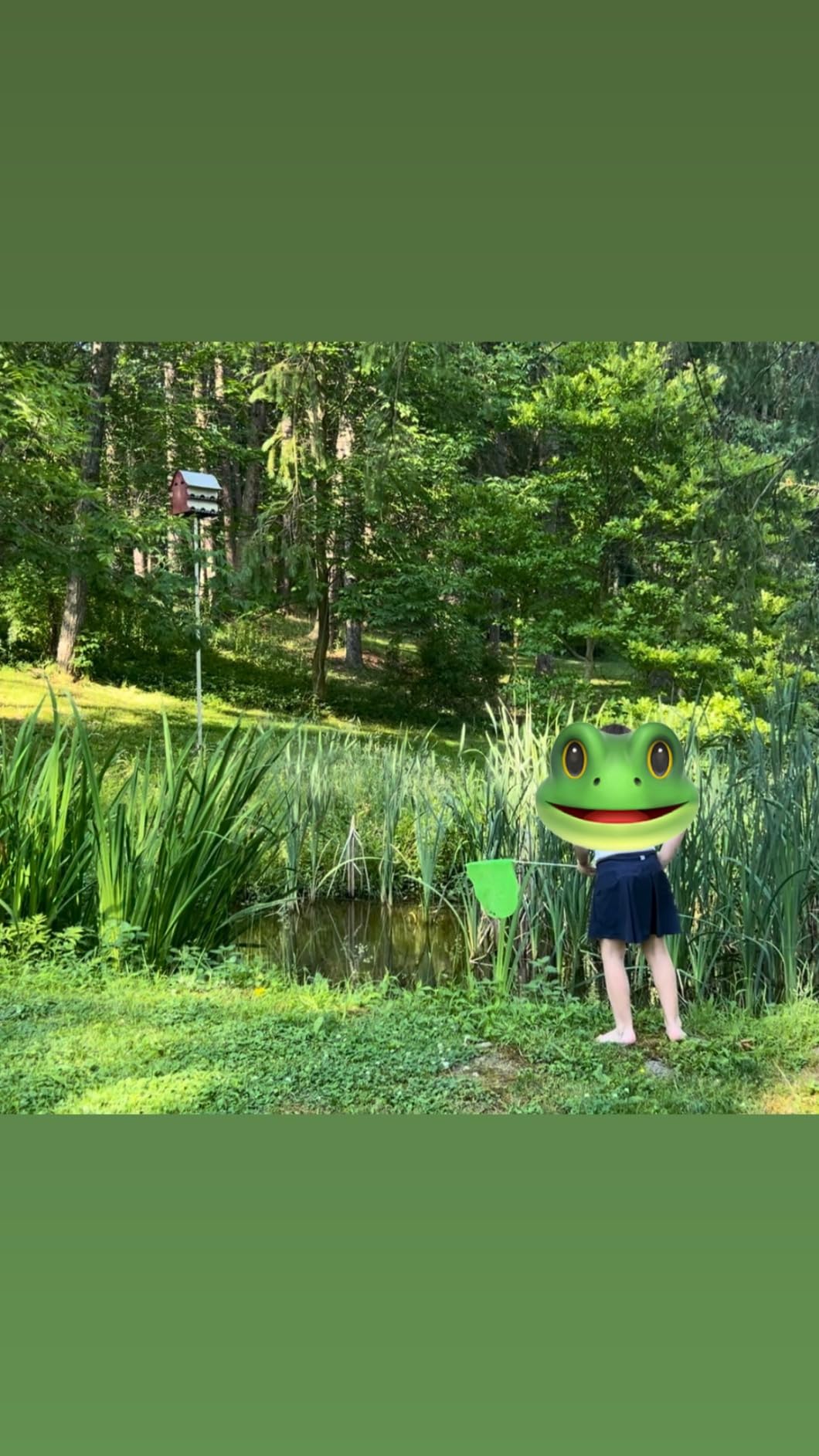 Kids Telescopic Butterfly Fishing Nets for Kids Catching Insect Net Outdoor Tools for Catching Bugs Fish Insect Ladybird, Extendable 34 Inches and Anti Slip Grip customer photo 2