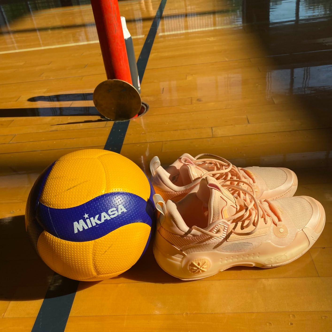 Mikasa V200W, Volleyball customer photo 2