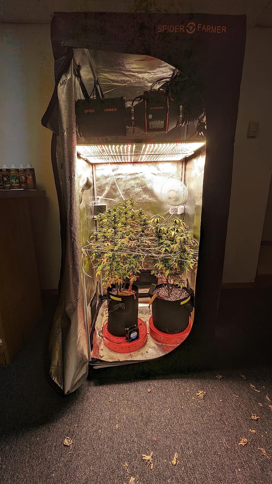 Spider Farmer SF1000 LED Grow Lights for Indoor Plants in 2x2/3x3 Grow Tent customer photo 2