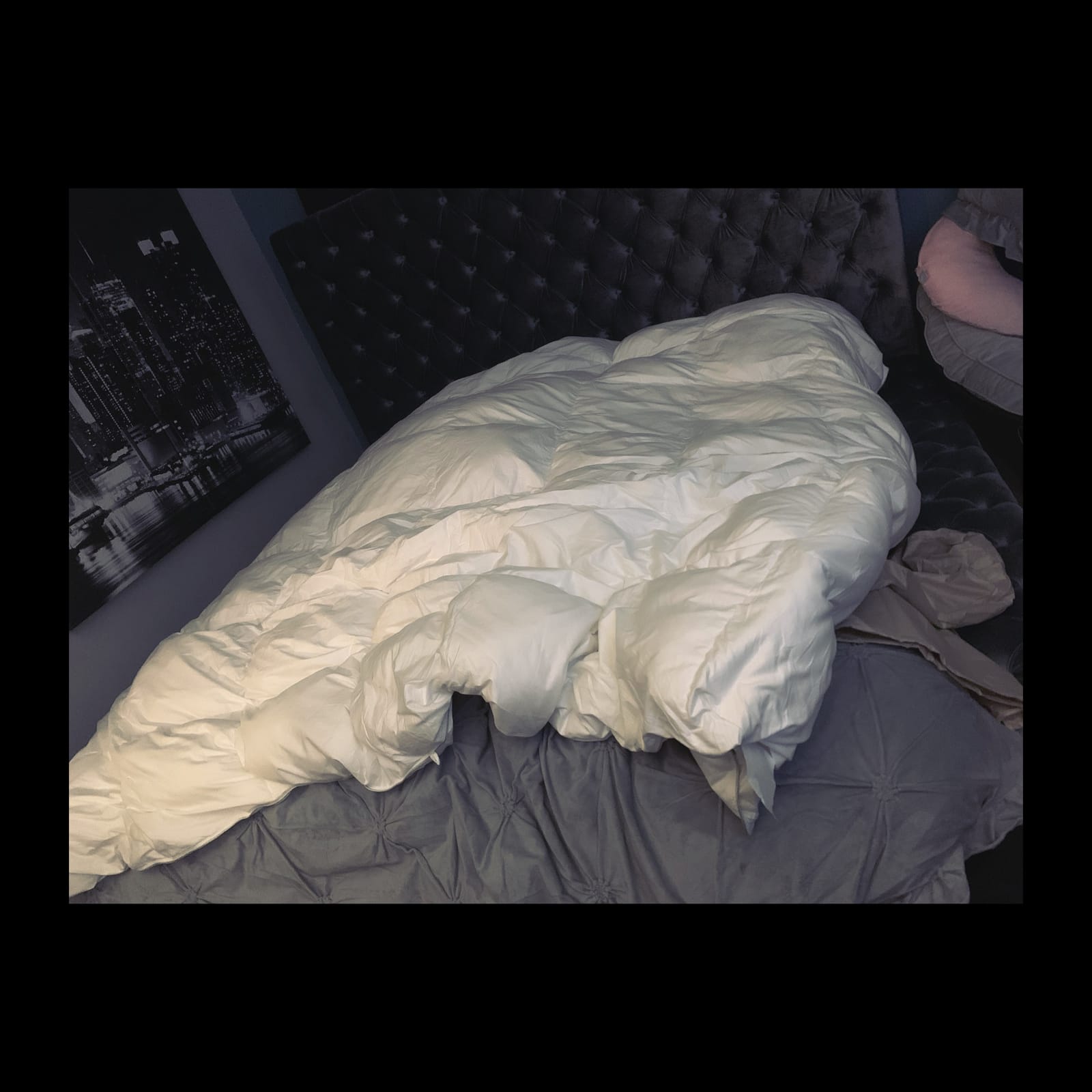 APSMILE Heavyweight Down Feather Fibers Comforter Queen Size - Ultra-Soft Luxury High Fill-Power Hotel-Style Thicker Winter Duvet Insert for Colder Weather/Sleeper (90x90, White) customer photo 2