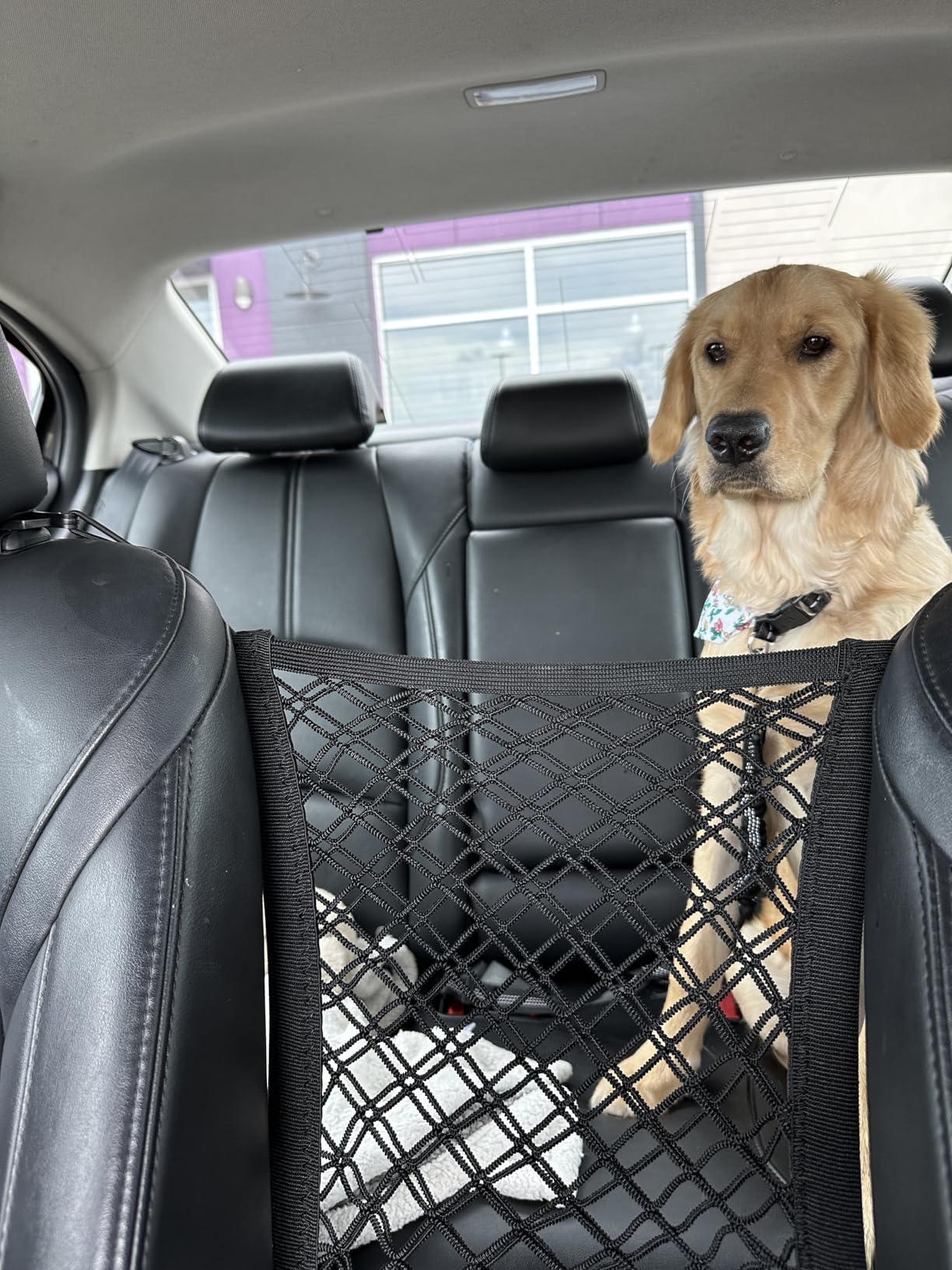 DYKESON Dog Car Net Barrier Pet Barrier with Car Mesh Organizer for Dog & Child, Safety Divider with Upgraded Storage Pouch, Easy Install for Cars & SUVs customer photo 2