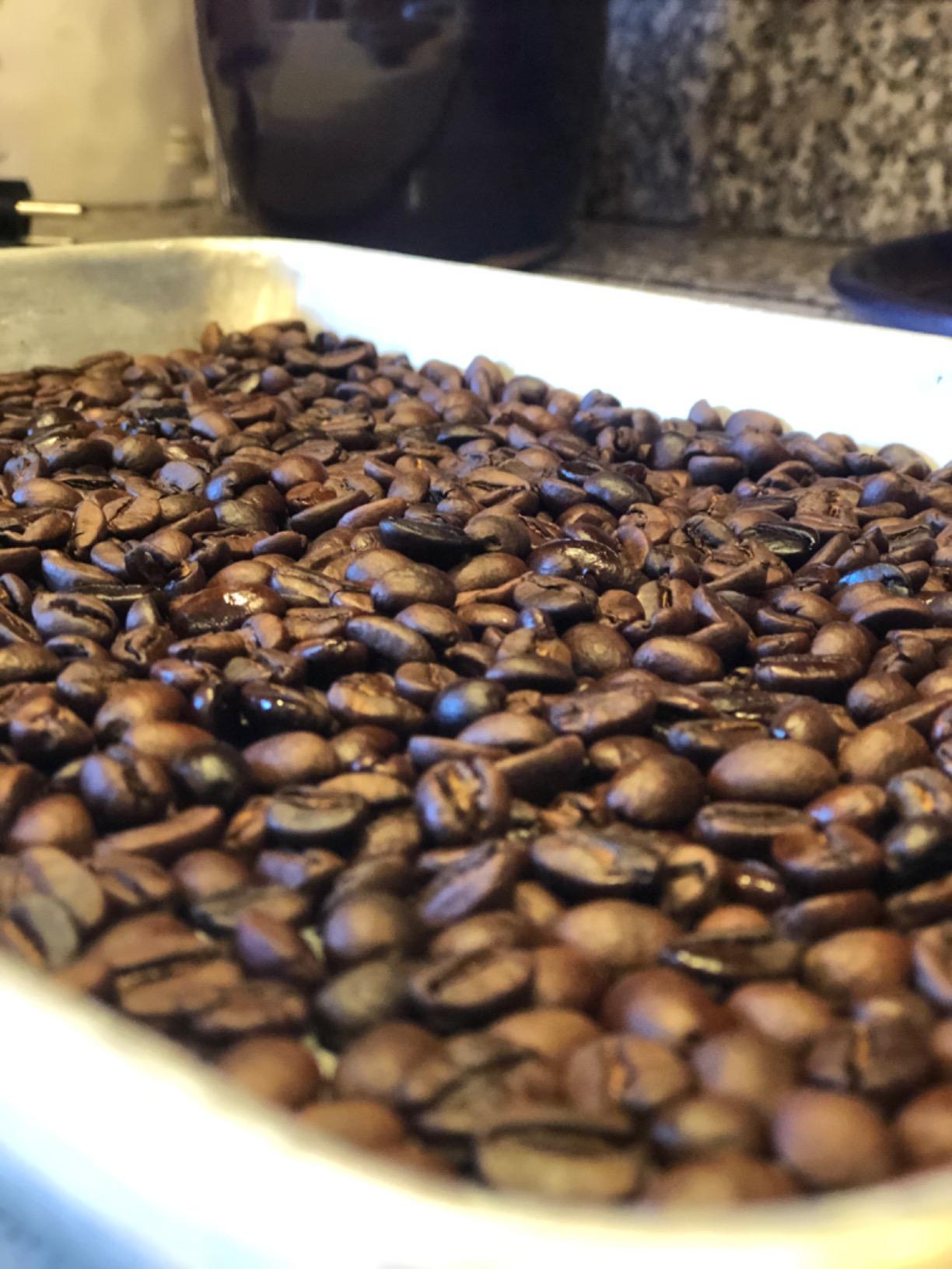 LUEUR Electric Coffee Roasters For Home Use,Coffee Bean Roaster Machine Coffee Bean Roaster For Stovetop, Countertop, Commercial Coffee Bean Roasting Machine 110V customer photo 1