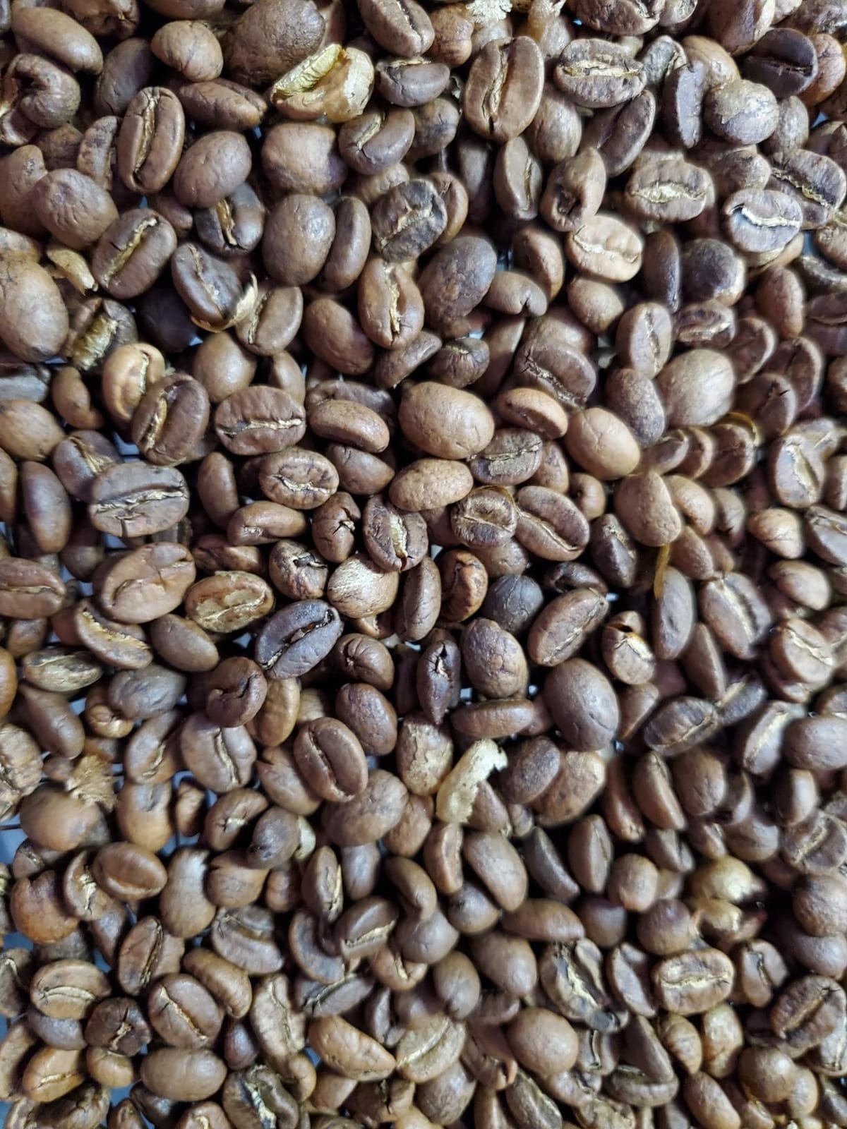 LUEUR Electric Coffee Roasters For Home Use,Coffee Bean Roaster Machine Coffee Bean Roaster For Stovetop, Countertop, Commercial Coffee Bean Roasting Machine 110V customer photo 2