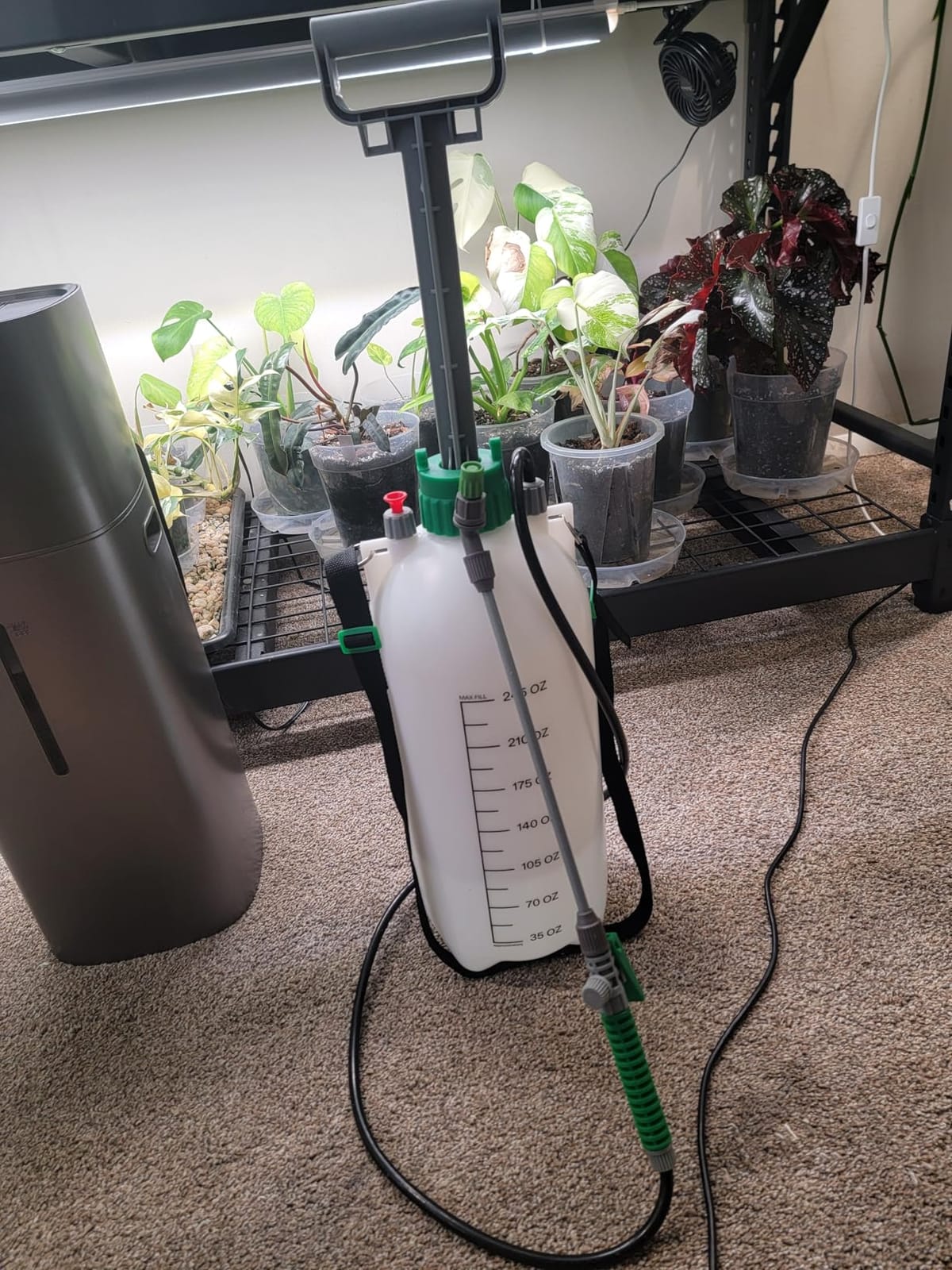 VIVOSUN 1 Gal/4L Pump Sprayer, Garden Water Sprayer customer photo 1