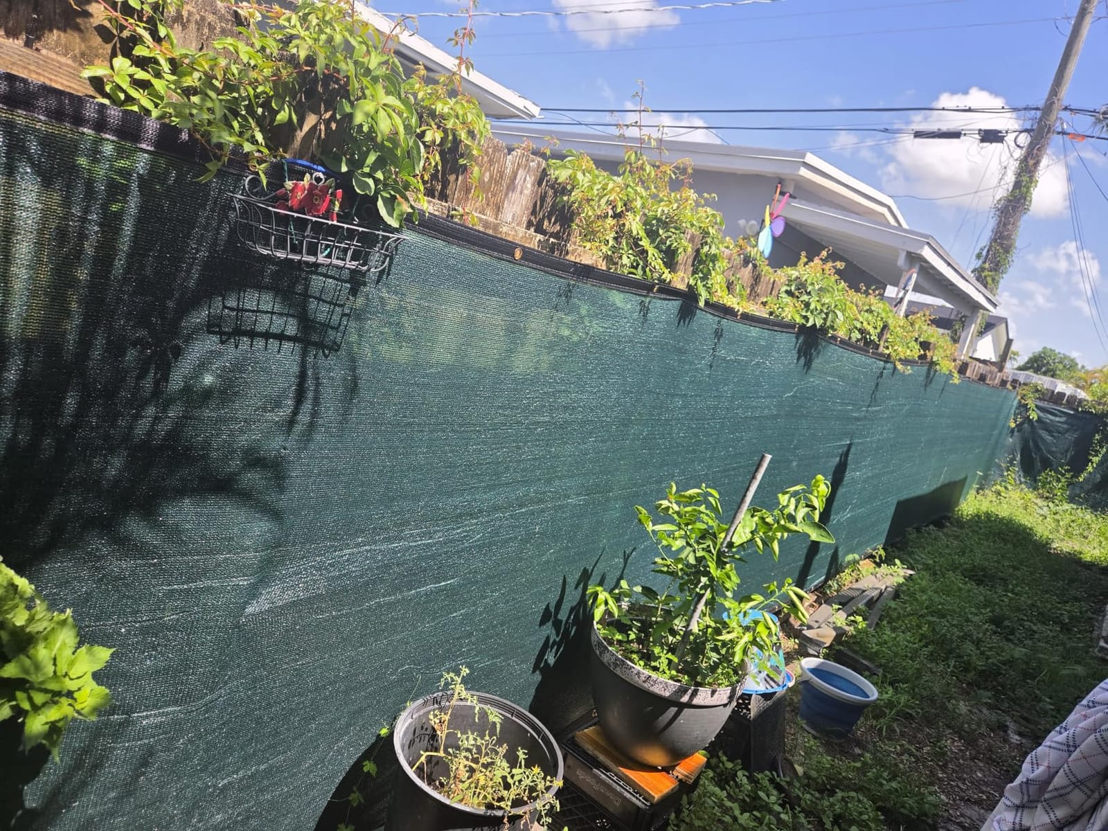 Sunnyglade 6 ft x 50 ft Privacy Screen Fence Heavy Duty Fence Cover Black | Privacy Fence Screen with UV Resistant Mesh, Reinforced Grommets and Breathable Design for Balcony, Patio, Garden & Backyard customer photo 1