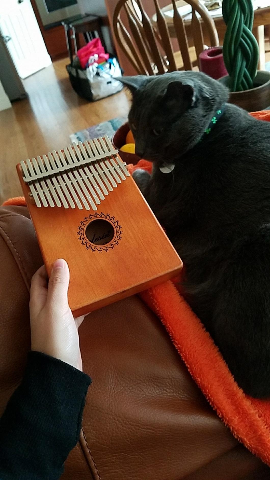 Kalimba Thumb Piano 17 Keys, Portable Mbira Finger Piano for Kids & Adults customer photo 1