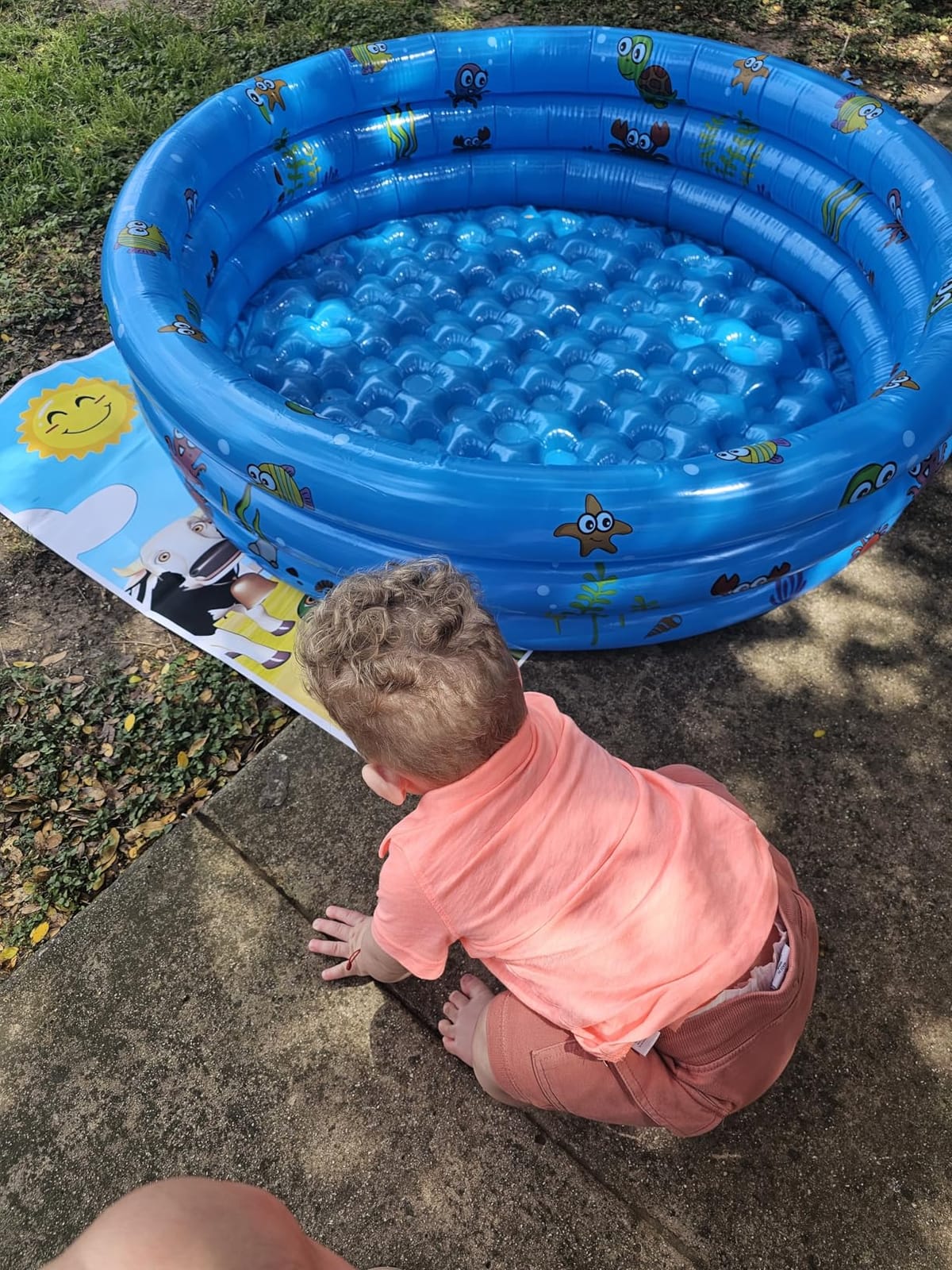 Garden Round Inflatable Baby Swimming Pool, Portable Inflatable Child/Children Little Pump Pool,Kiddie Paddling Pool Indoor&Outdoor Toddler Water Game Play Center for Kids/Girl/Boy customer photo 2