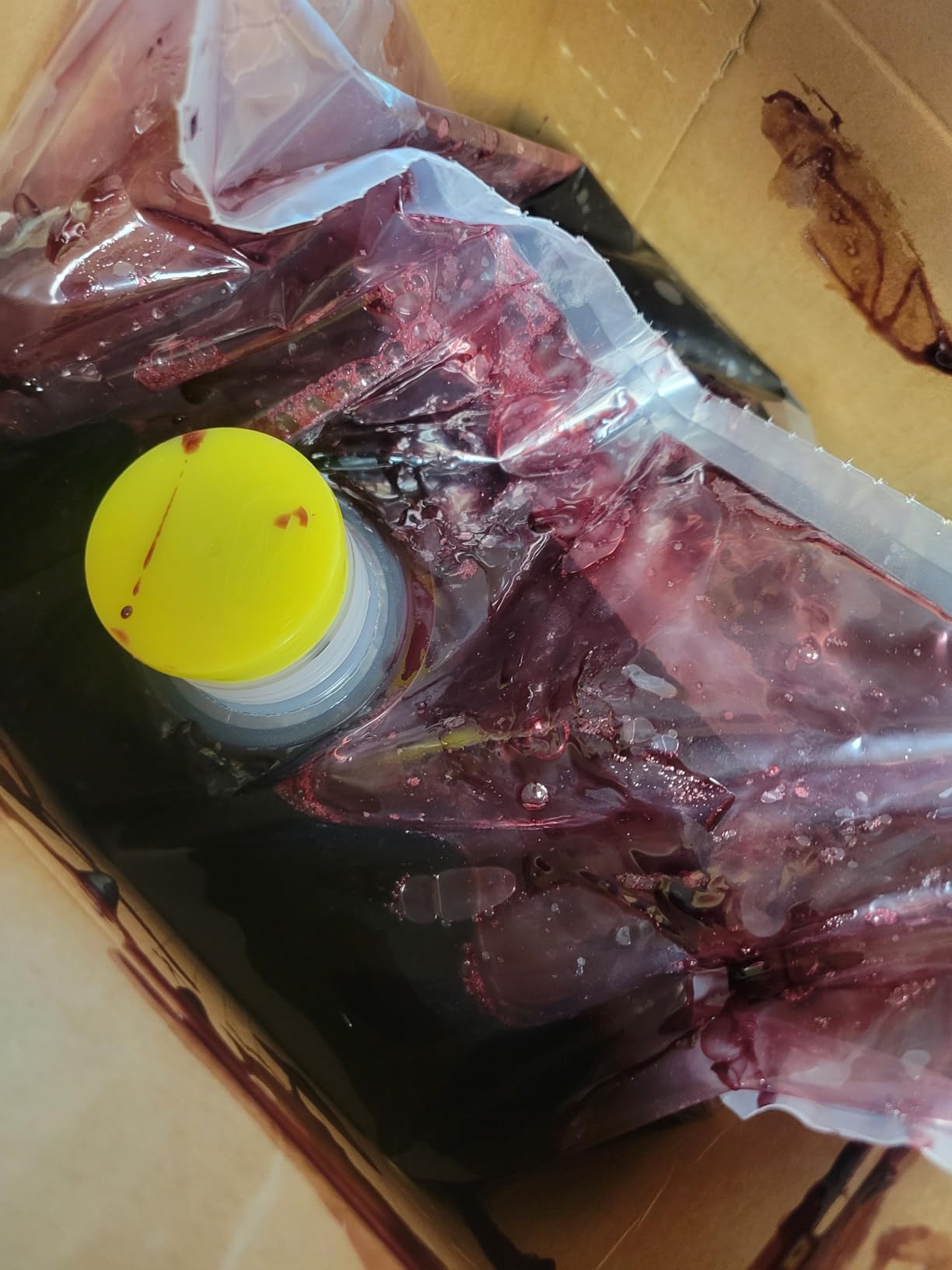 Classic Spanish Tempranillo Wine Ingredient Kit customer photo 1
