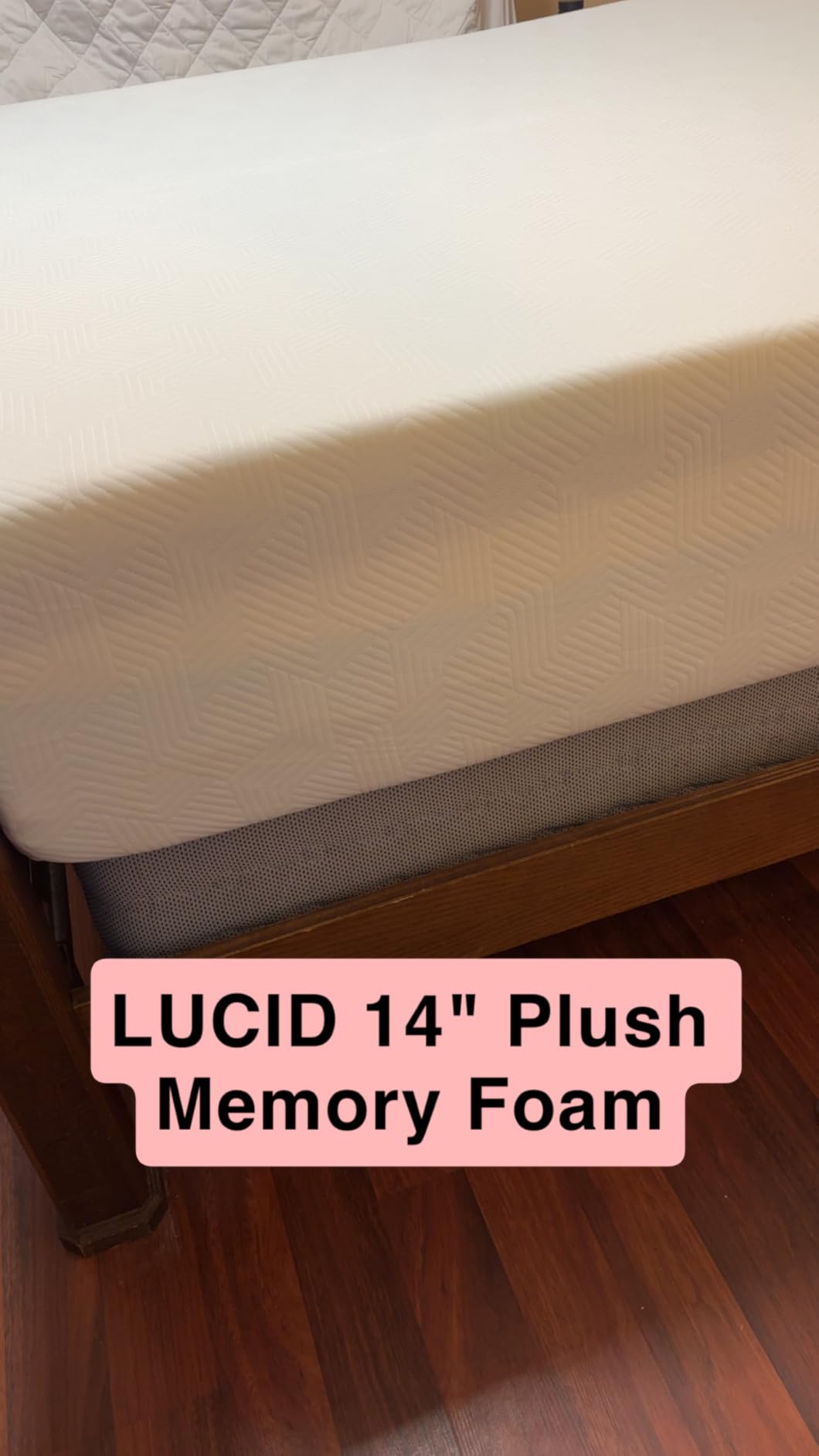 Lucid® 12