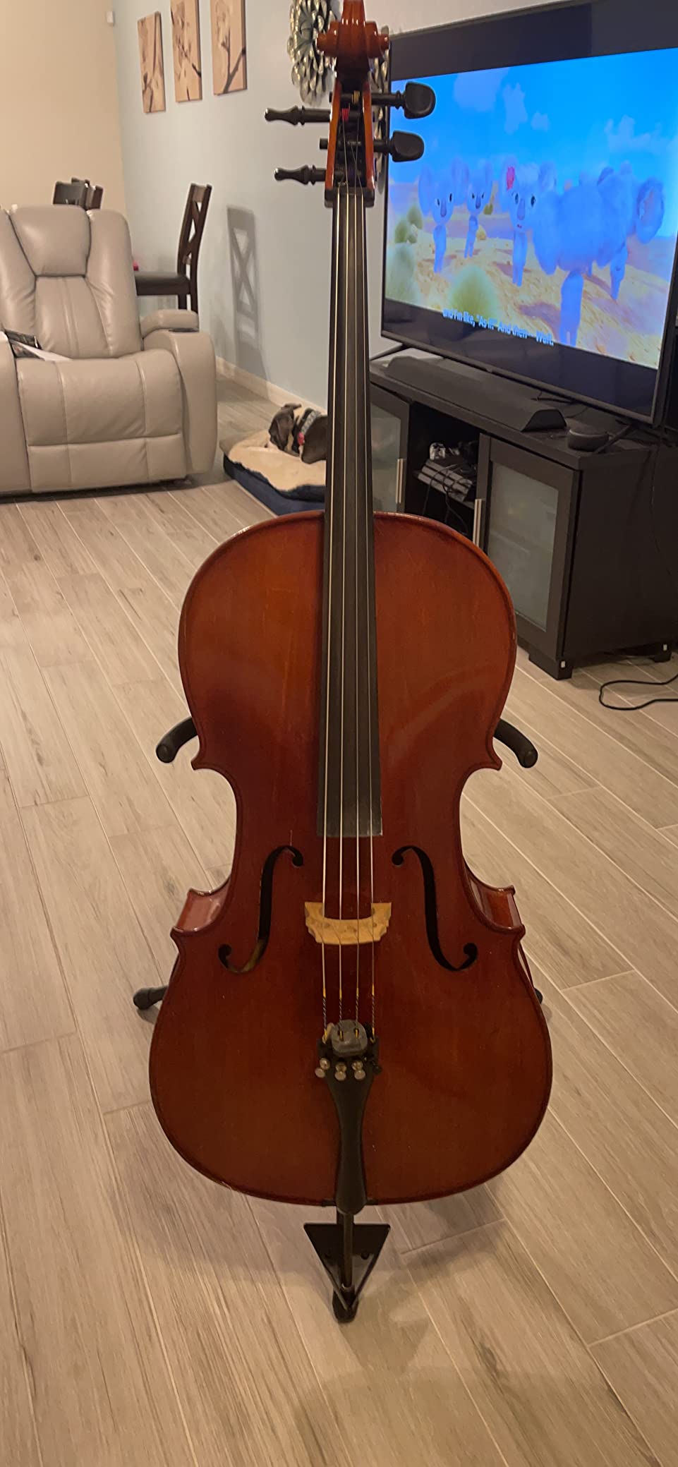 Mr.Power Adjustable Cello Stand with Bow Hook , Foldable Tripod Support customer photo 2