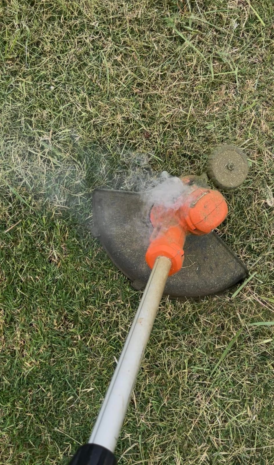 BLACK+DECKER String Trimmer, Electric, 14-inch (BESTE620) customer photo 1