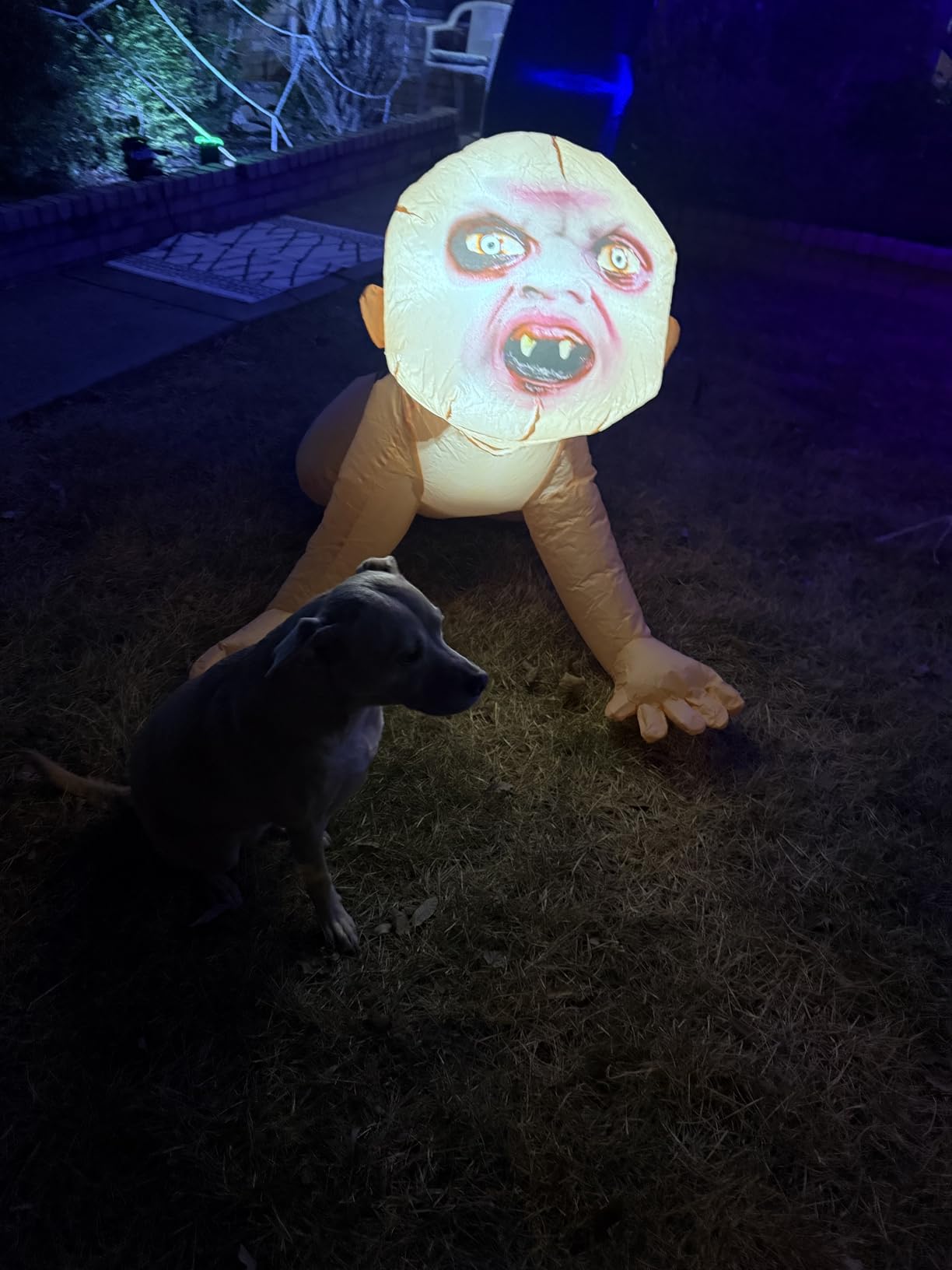 GOOSH 4 FT Halloween Inflatable Zombie Outdoor Decorations Blow Up Yard Scary Zombie with Built-in LEDs for Indoor Garden Lawn Party Decor customer photo 1