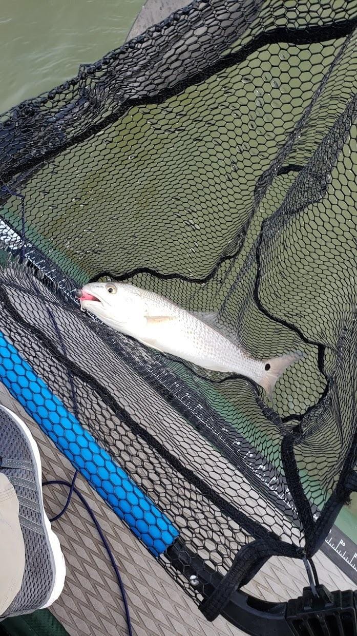 PLUSINNO Fishing Net Fish Floating Landing Net with Handle customer photo 1