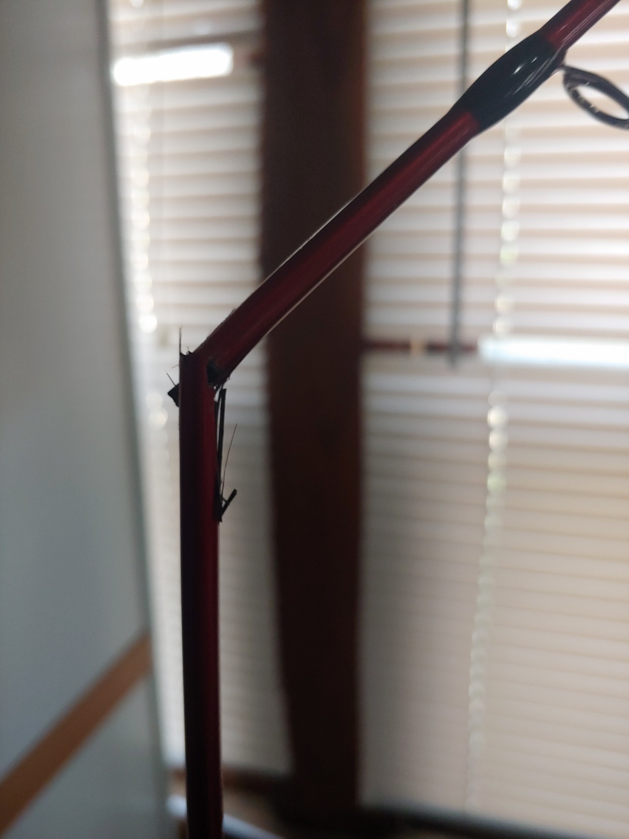 Berkley Cherrywood HD Spinning Fishing Rods customer photo 1
