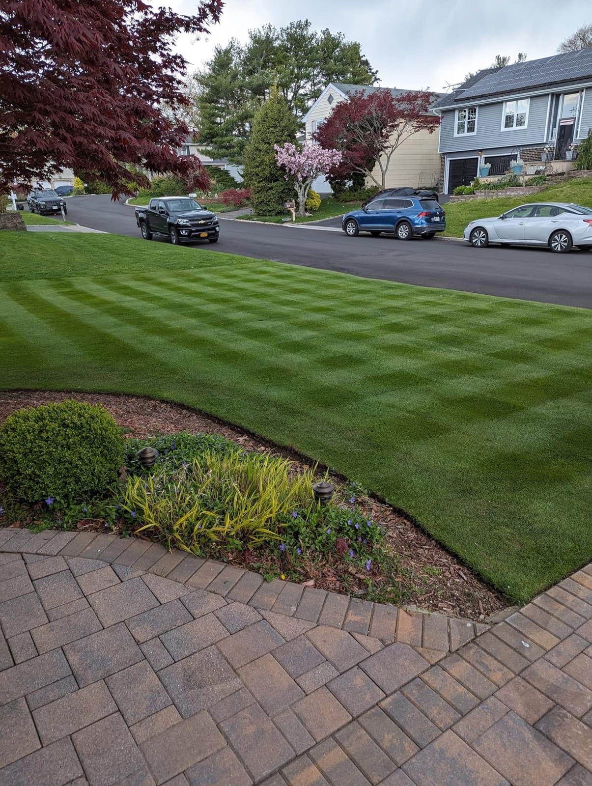 Soft Soil Liquid Soil Aerator & Lawn Treatment to Fix Compacted Soils, Improve Drainage with Non-Mechanical Liquid Application. 1 Gallon customer photo 1